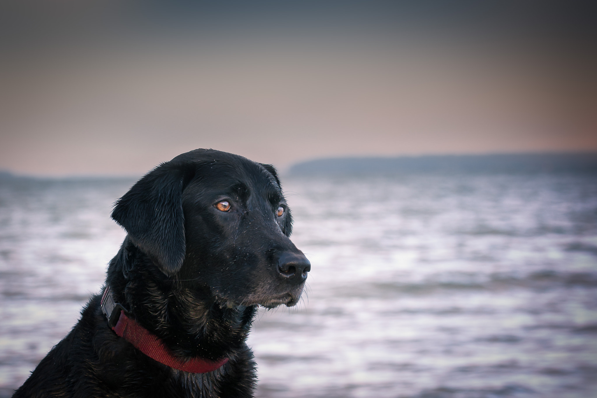 Tamron SP 70-200mm F2.8 Di VC USD sample photo. Sadie portrait photography