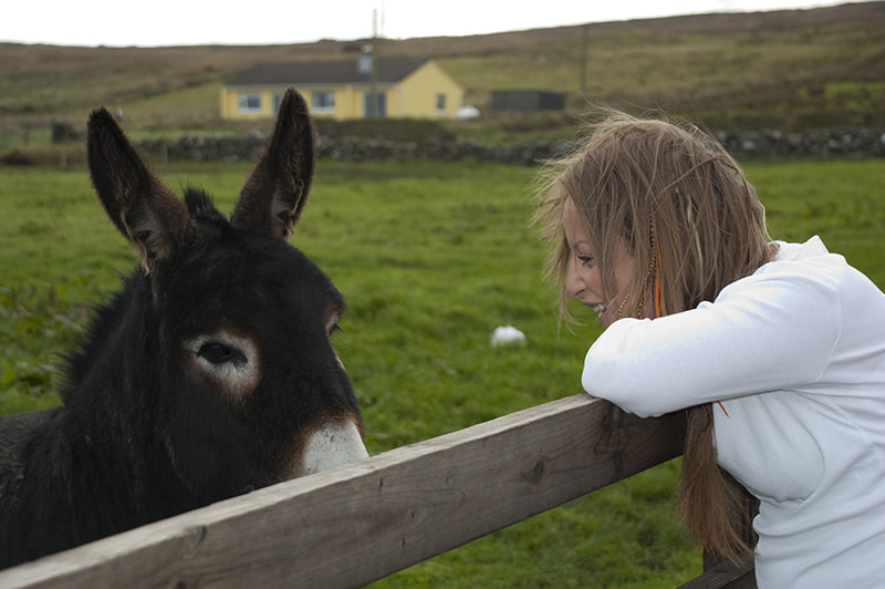 Nikon D40 sample photo. Doolin photography