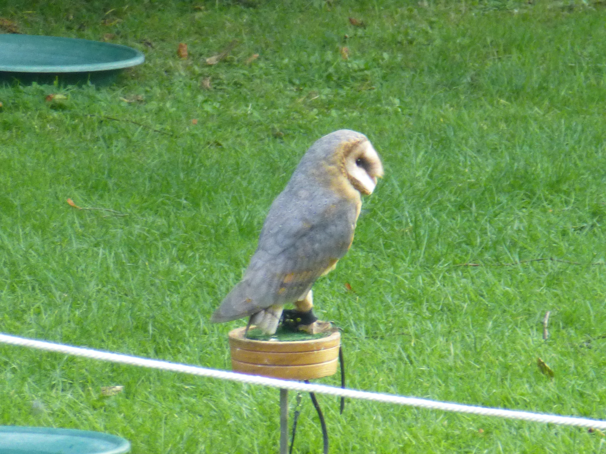 Panasonic Lumix DMC-ZS15 (Lumix DMC-TZ25) sample photo. Irlanda 2016 photography