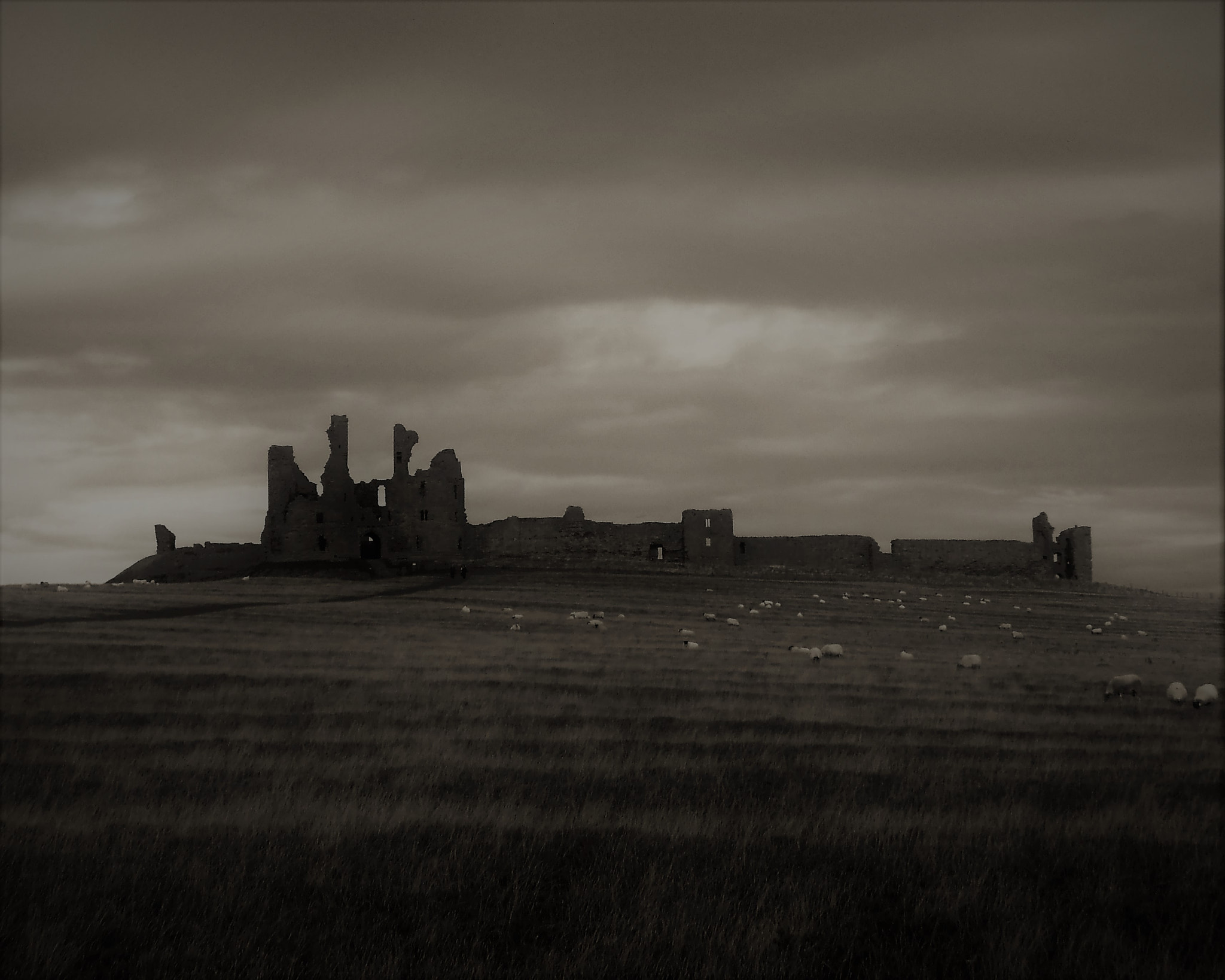 Fujifilm FinePix JZ200/JZ210 sample photo. Dunstanburgh castle photography