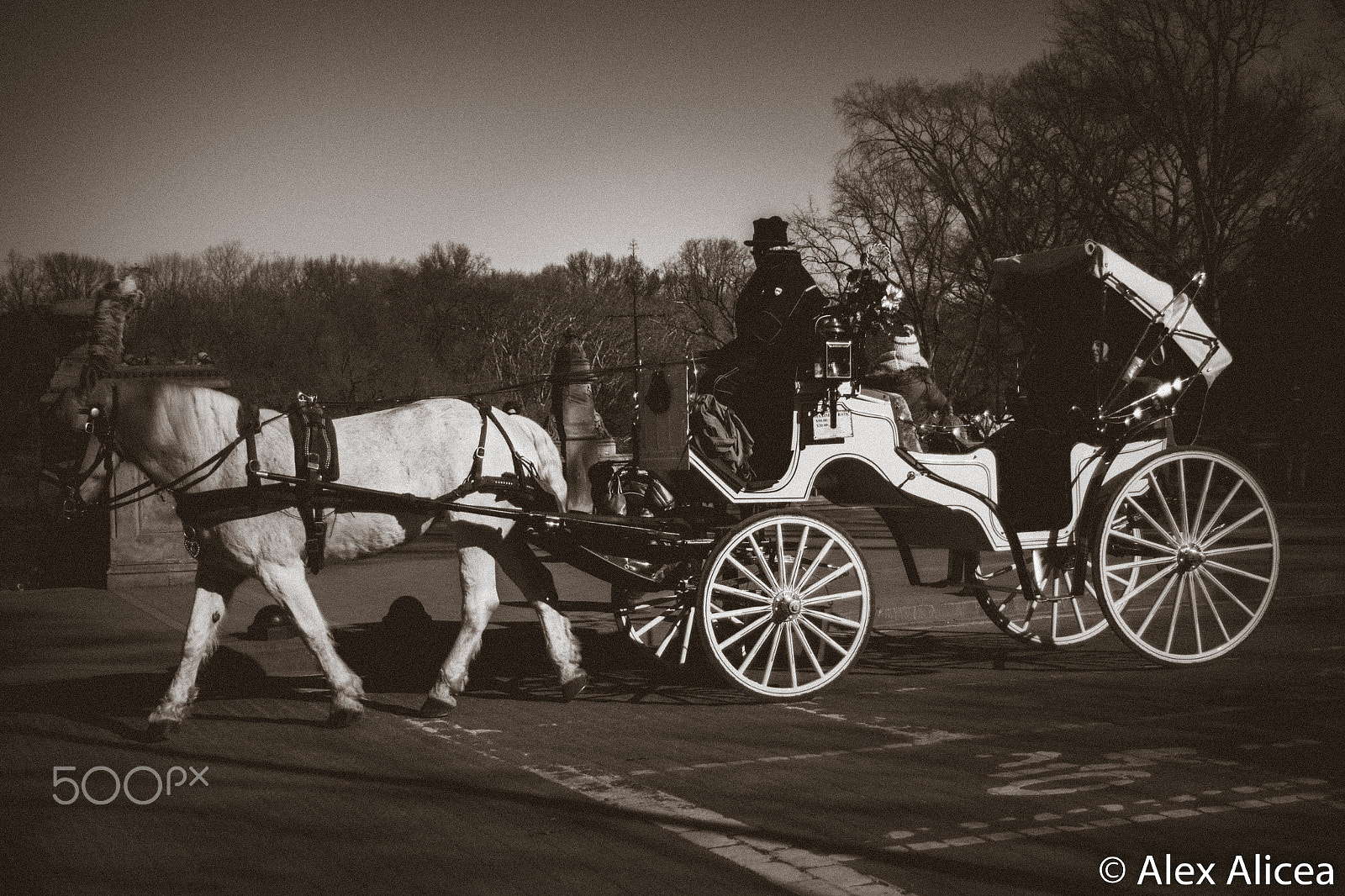 Canon EOS 60D + Canon EF 28-80mm f/3.5-5.6 sample photo. Horse and buggy photography