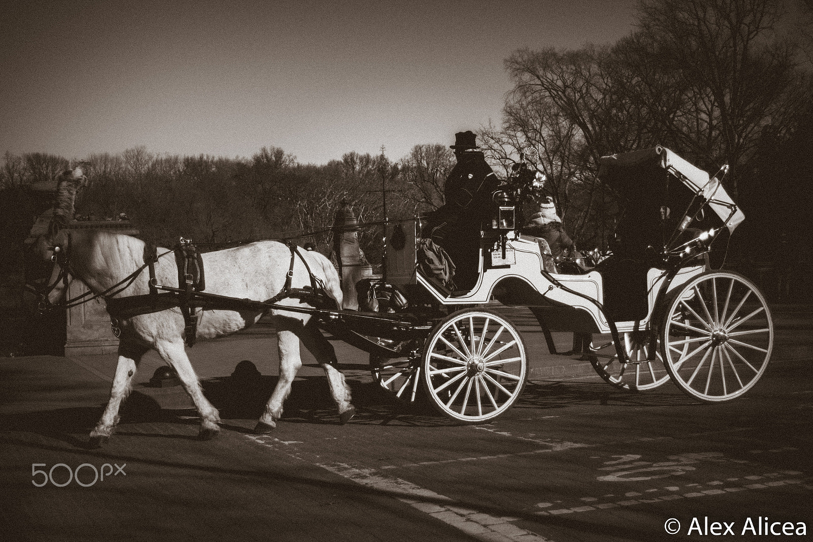Canon EF 28-80mm f/3.5-5.6 sample photo. Horse and buggy photography