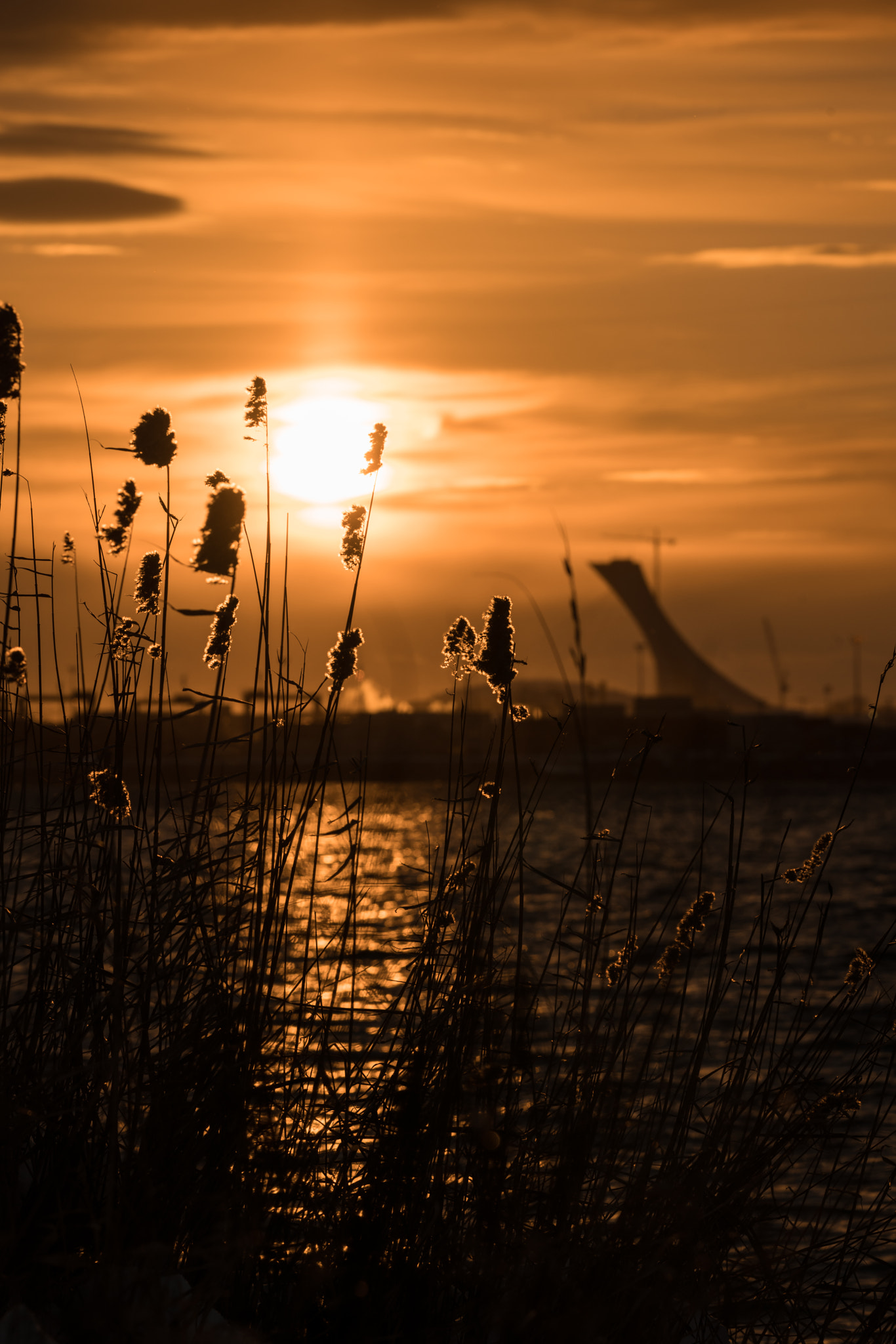 150-600mm F5-6.3 DG OS HSM | Contemporary 015 sample photo. Telephoto montreal landscape sunset photography