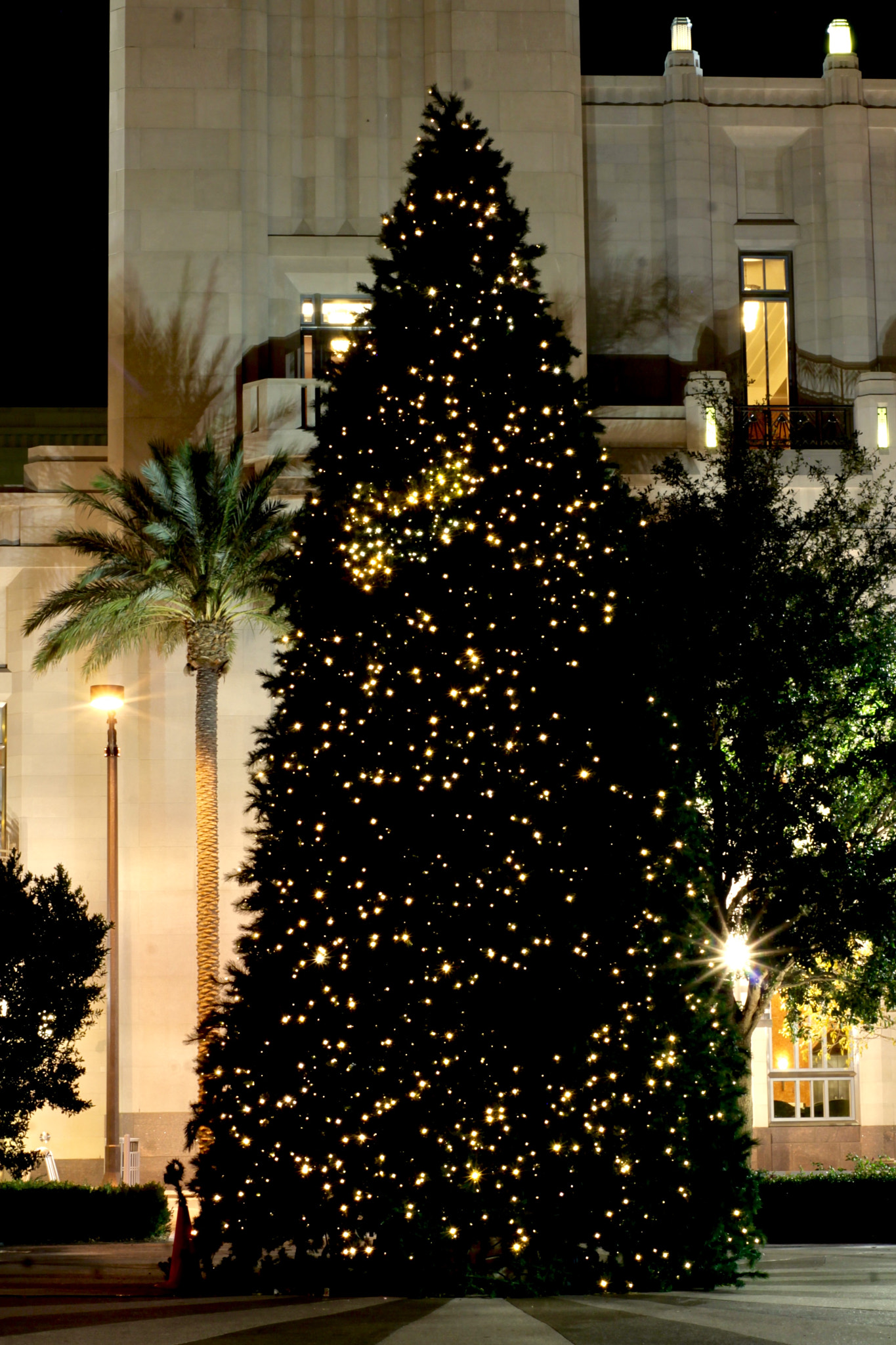Sigma A 24-105 mm f/4 DG OS HSM sample photo. #thattimeoftheyear! photography