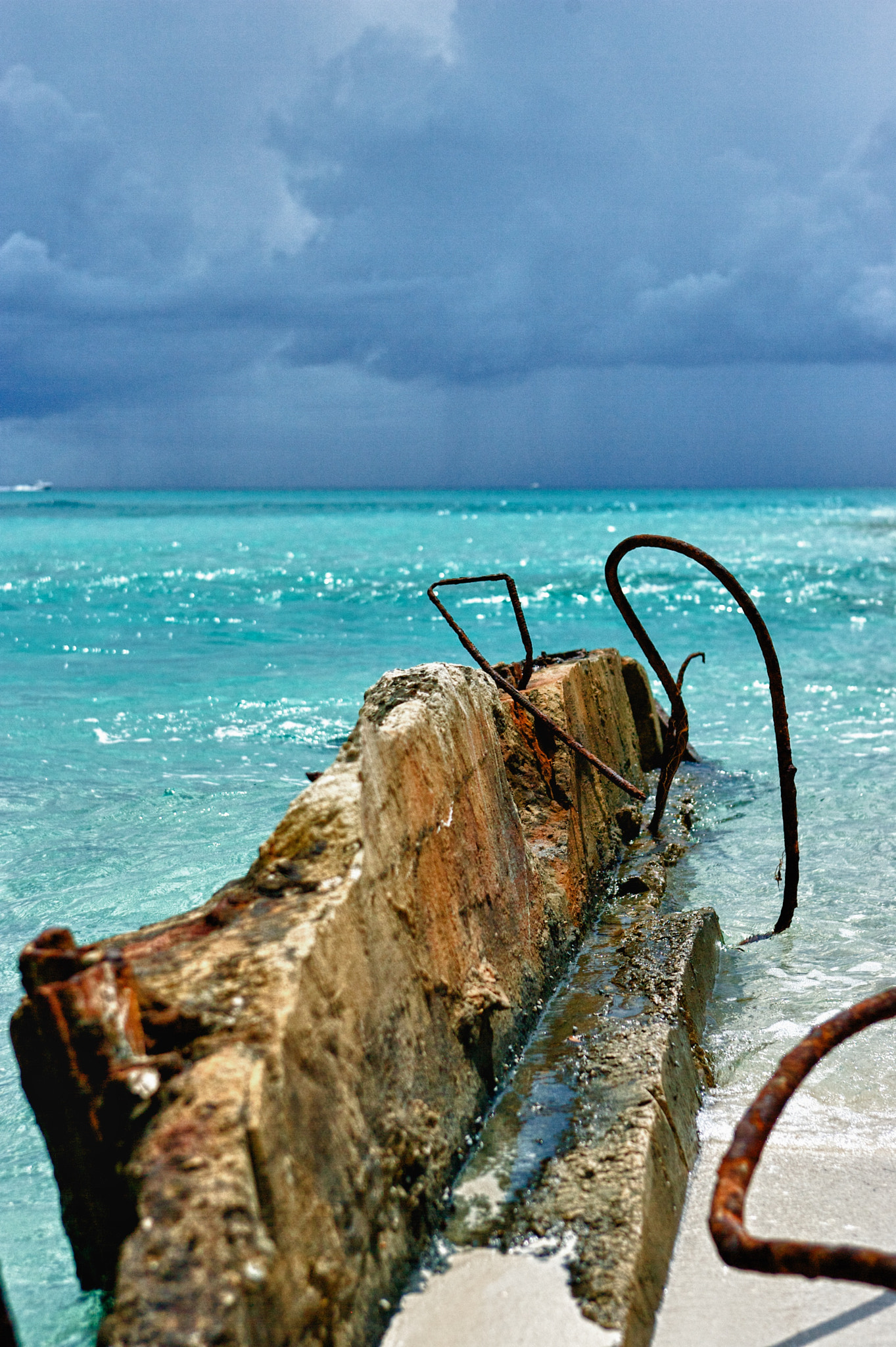 Canon EOS-1D Mark II sample photo. Bimini photography