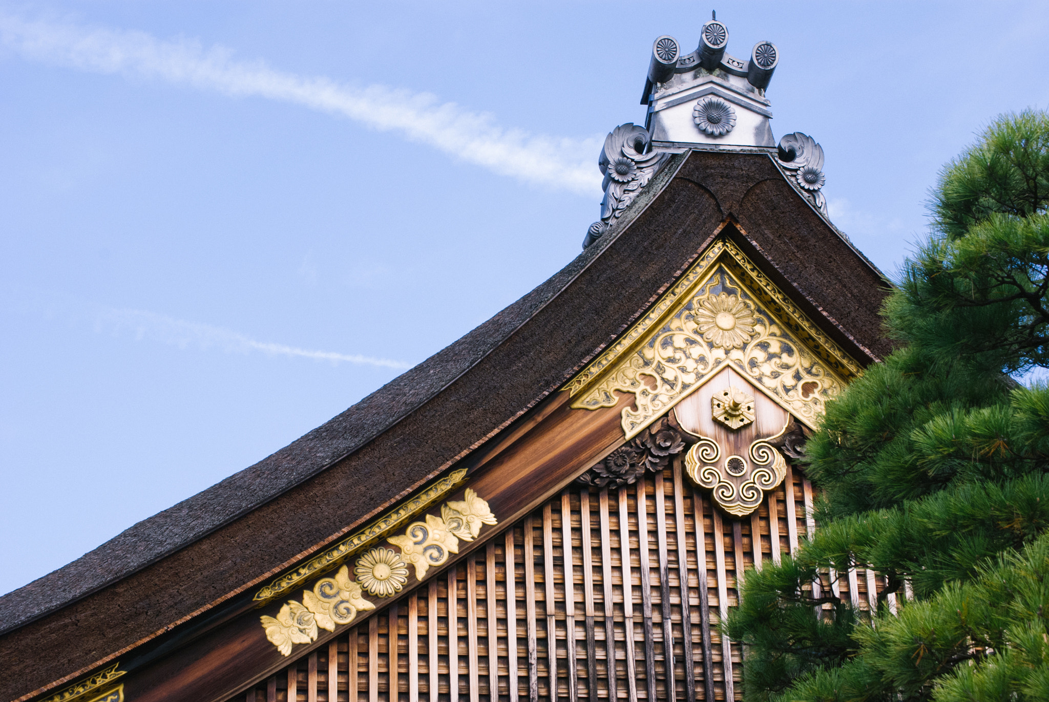 Nikon D60 sample photo. 京都 photography
