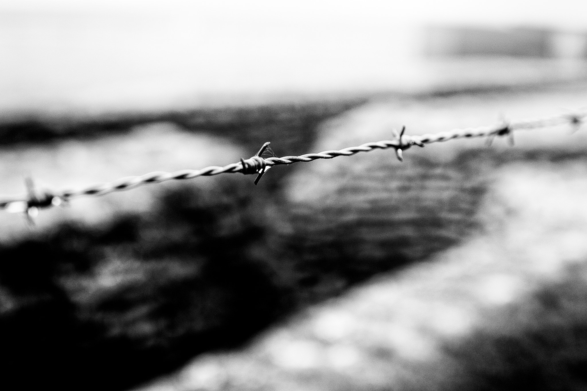 Canon EOS 7D Mark II + Sigma 30mm F1.4 EX DC HSM sample photo. Barbed wire photography
