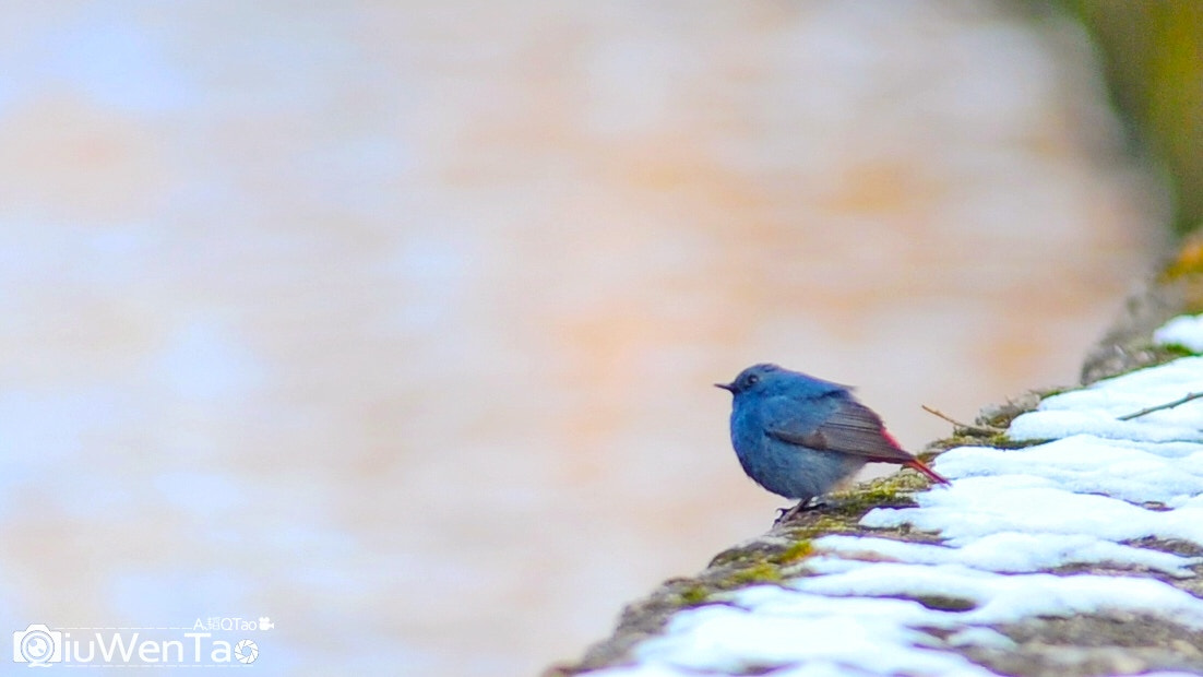 AF Zoom-Nikkor 80-200mm f/2.8 ED sample photo