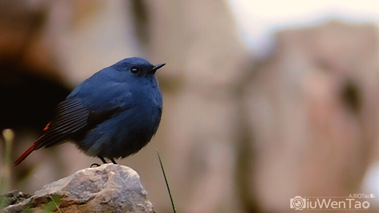 AF Zoom-Nikkor 80-200mm f/2.8 ED sample photo