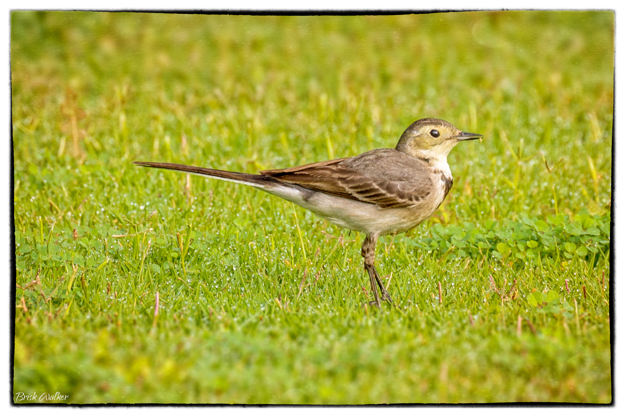 Nikon D600 sample photo. I am on diet ! photography