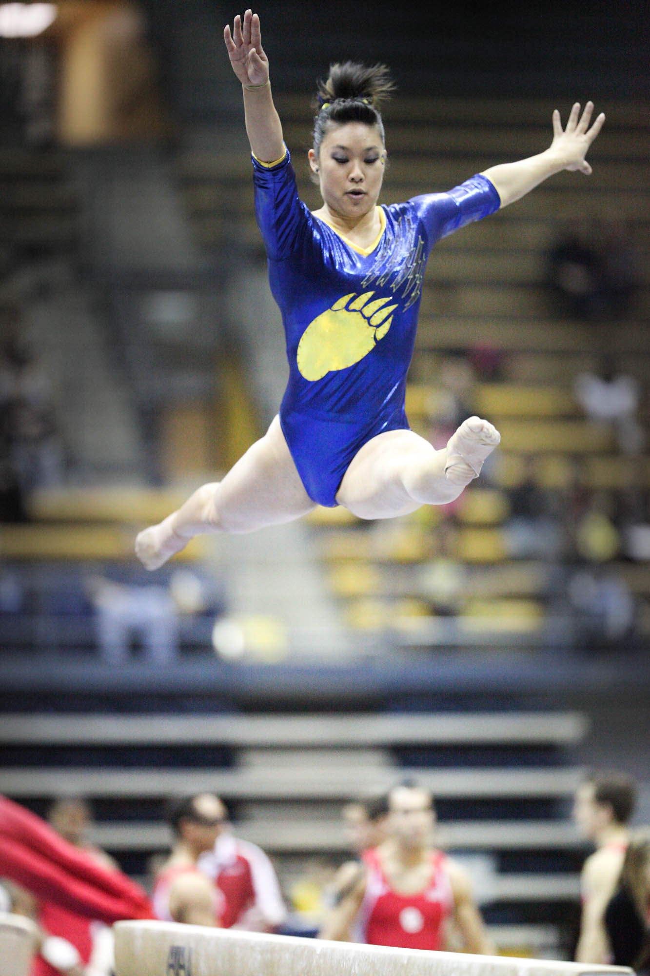 Canon EF 200mm F2L IS USM sample photo. Fcdo photography