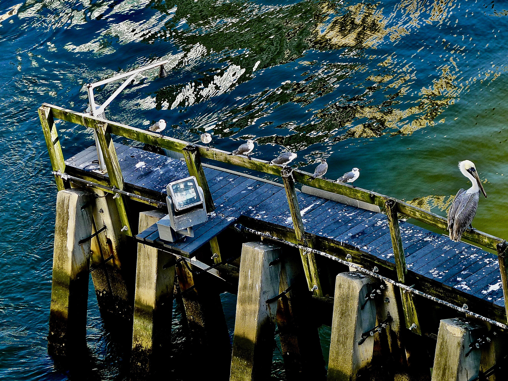 Leica D-LUX 5 sample photo. Guarding the river entrance photography