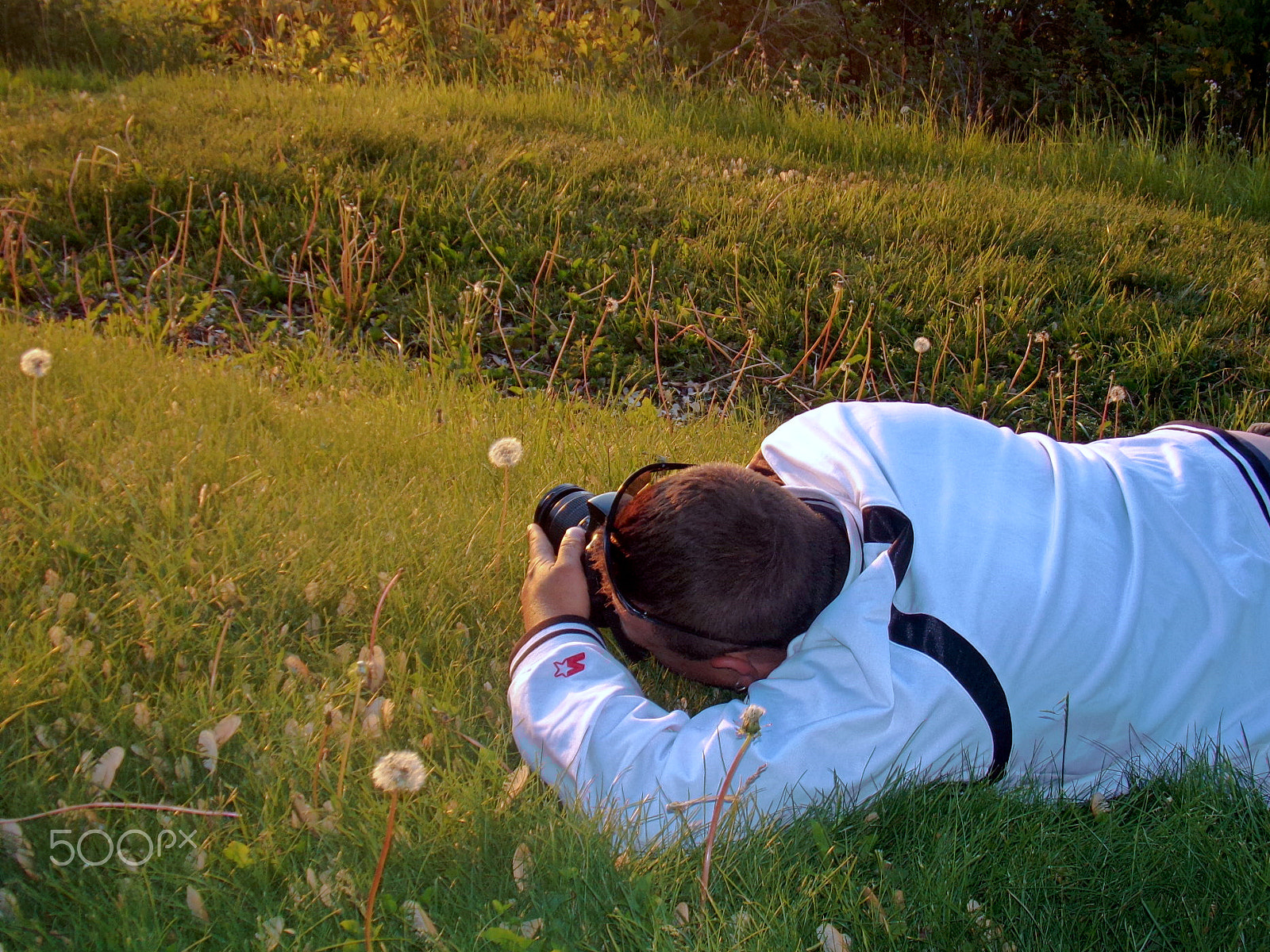 Kodak PIXPRO AZ251 sample photo. Me shooting a dandelion photography