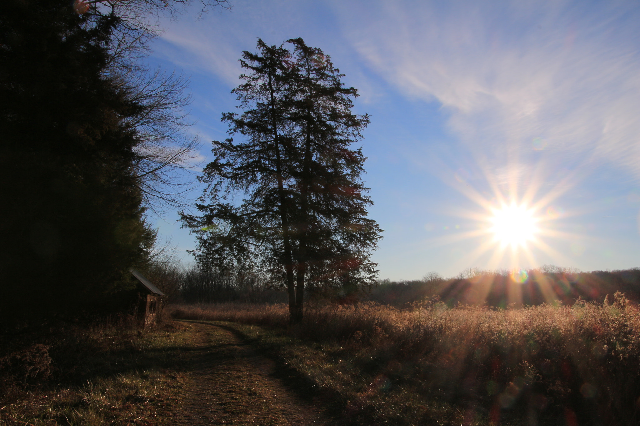 Canon EOS 700D (EOS Rebel T5i / EOS Kiss X7i) sample photo. Morning light photography
