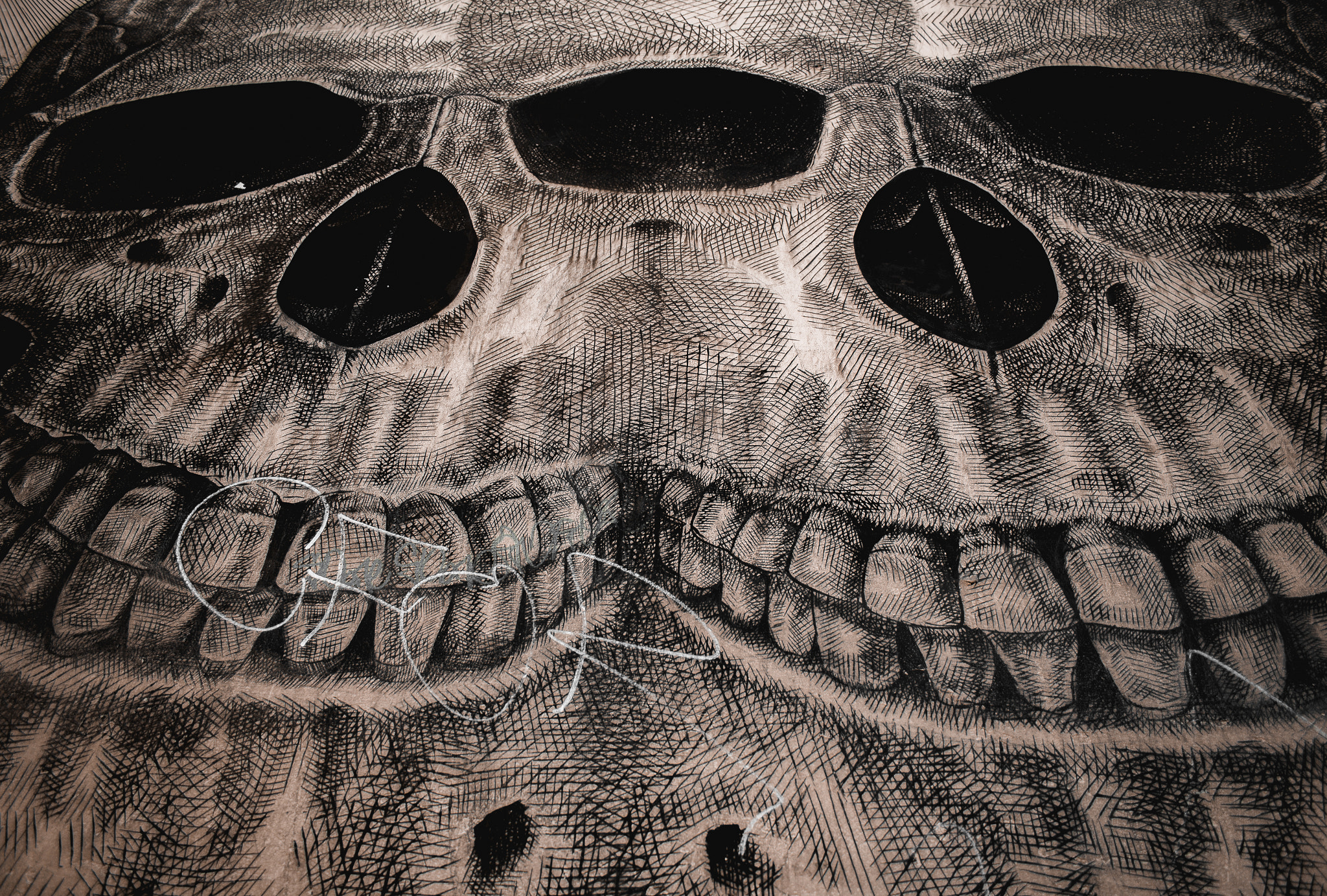 Canon EF-S 18-55mm F3.5-5.6 II sample photo. Skulls photography