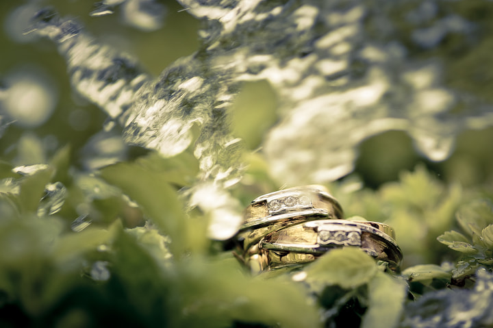 AF Micro-Nikkor 105mm f/2.8 sample photo. Weddings photography