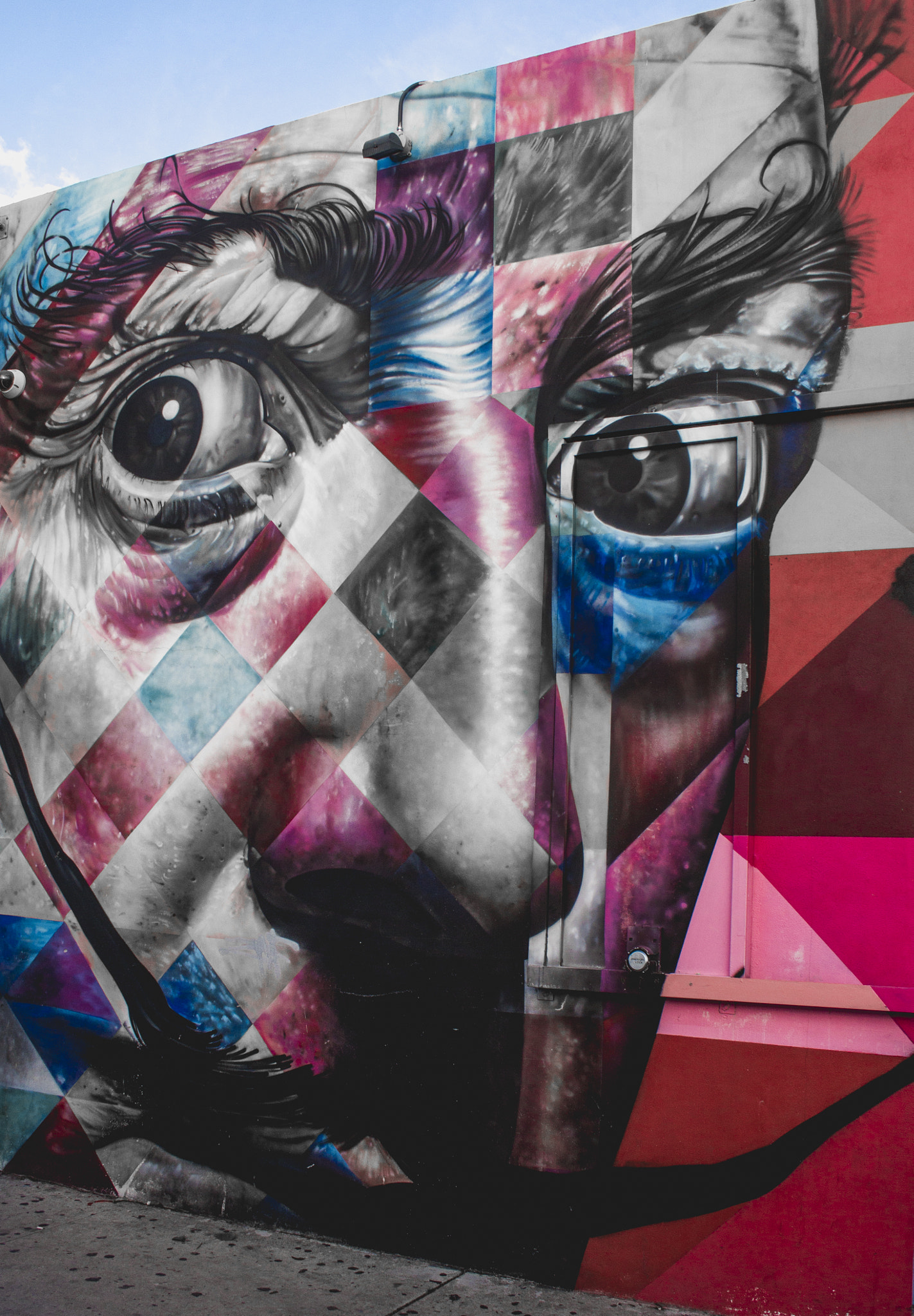 Canon EF-S 18-55mm F3.5-5.6 II sample photo. Salvador dali in wynwood photography