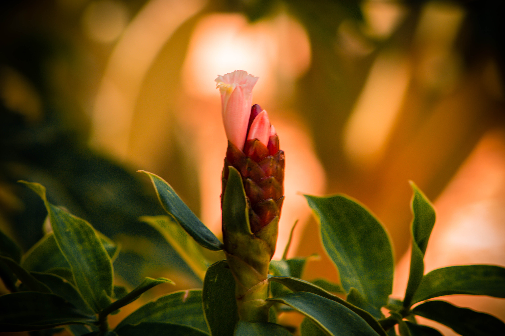 Canon EF 75-300mm f/4-5.6 USM sample photo