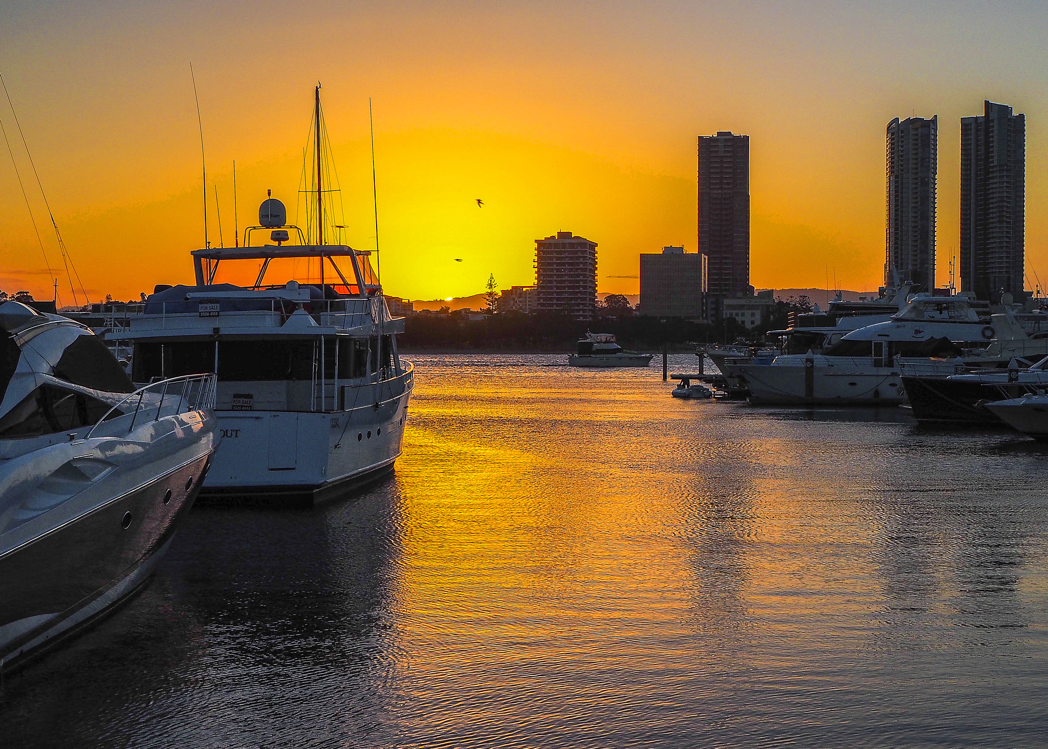 Olympus OM-D E-M10 + Olympus M.Zuiko Digital ED 14-42mm F3.5-5.6 EZ sample photo. Sunset over gold coast marina photography