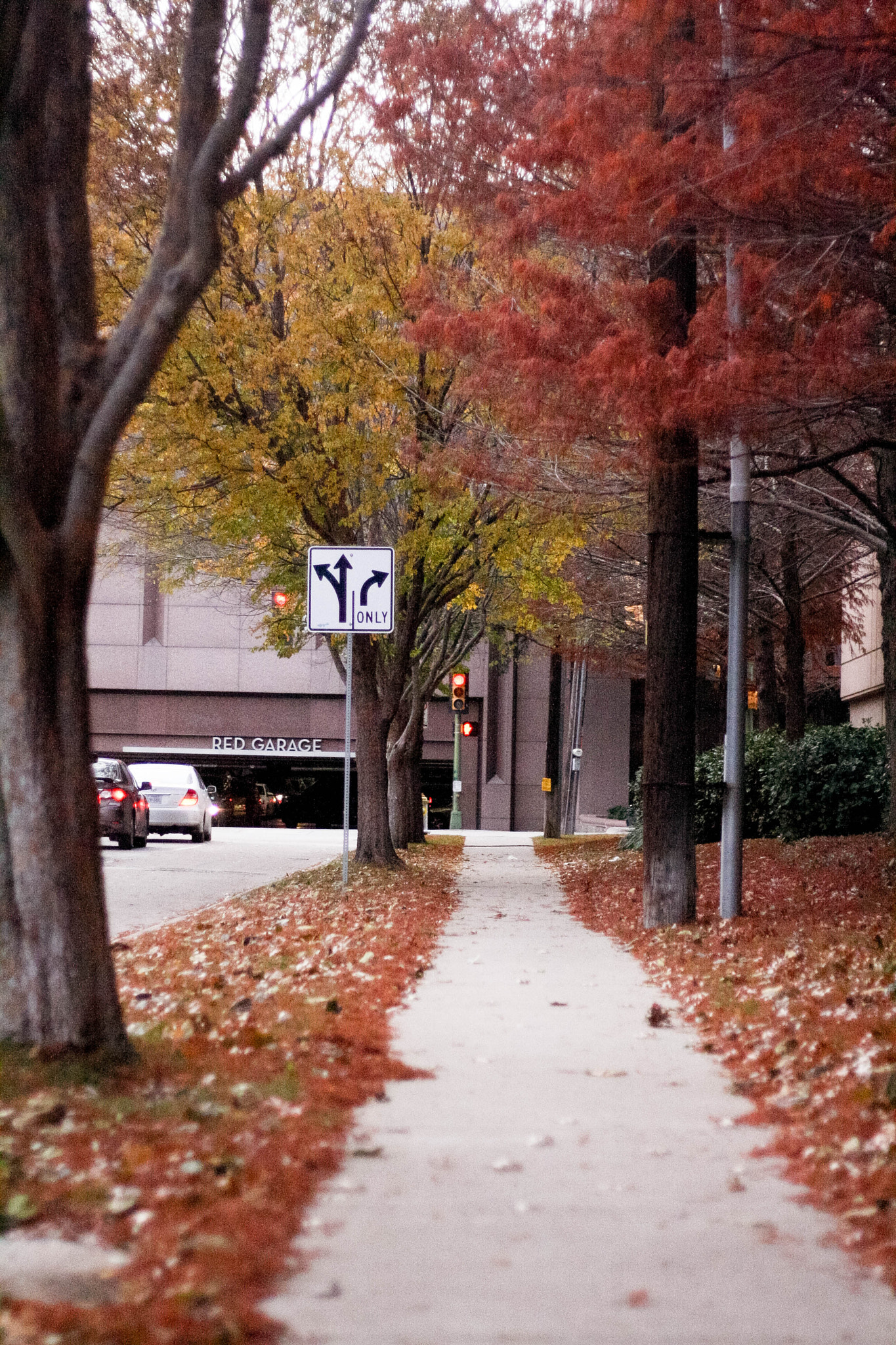 Canon EOS 1000D (EOS Digital Rebel XS / EOS Kiss F) sample photo. Choose lanes photography