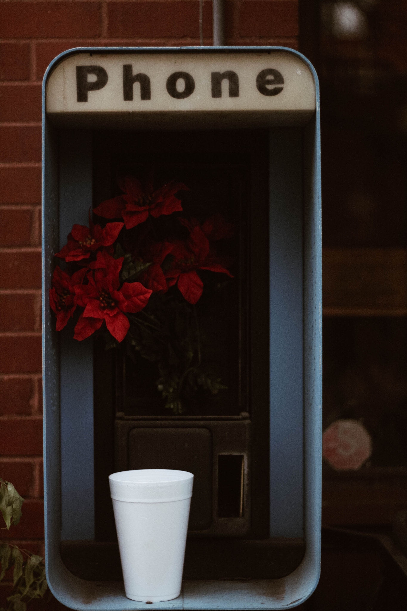 Canon EOS 1000D (EOS Digital Rebel XS / EOS Kiss F) sample photo. Flower & dream photography