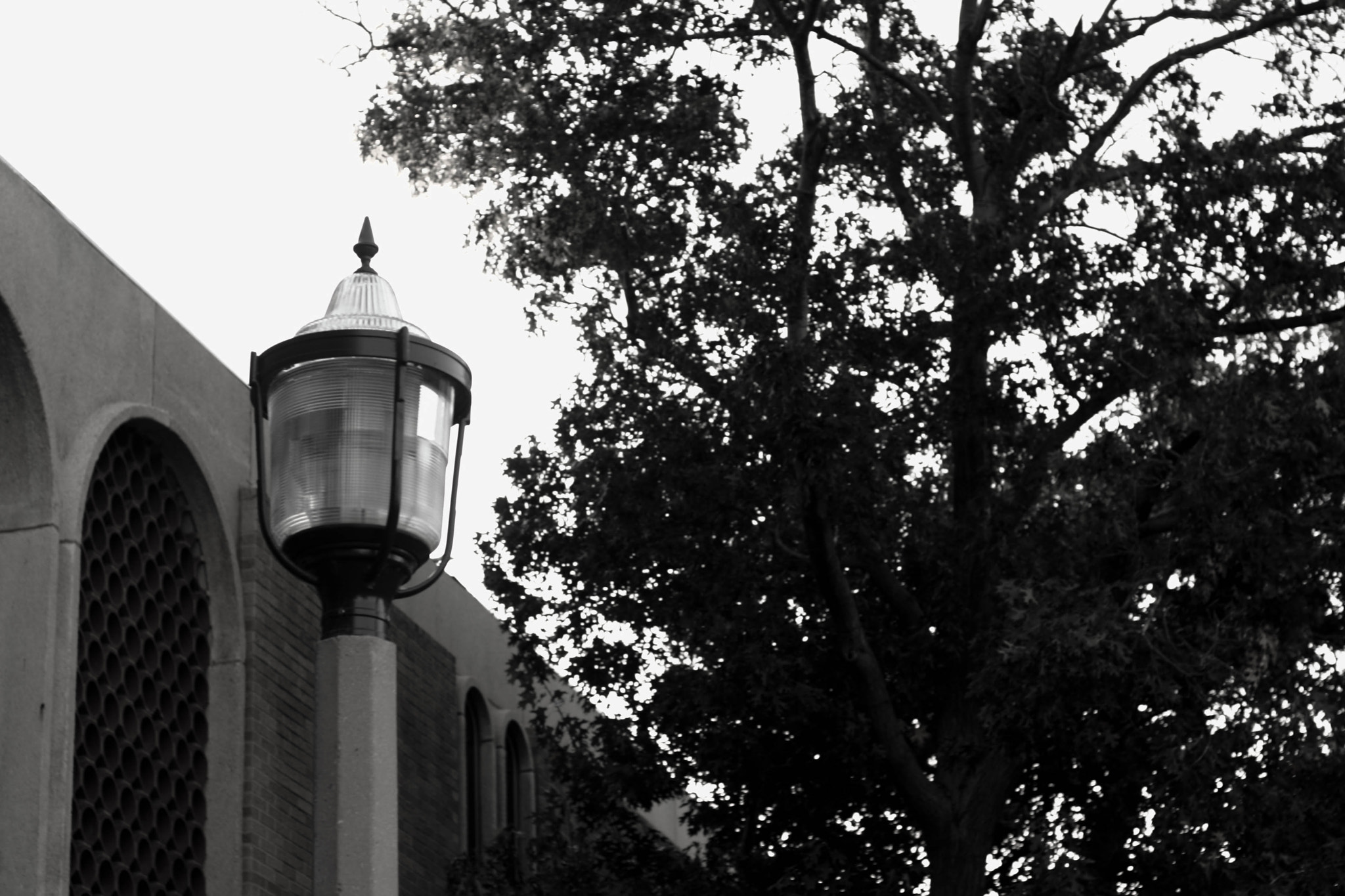 Canon EOS 1000D (EOS Digital Rebel XS / EOS Kiss F) sample photo. Lightpost photography
