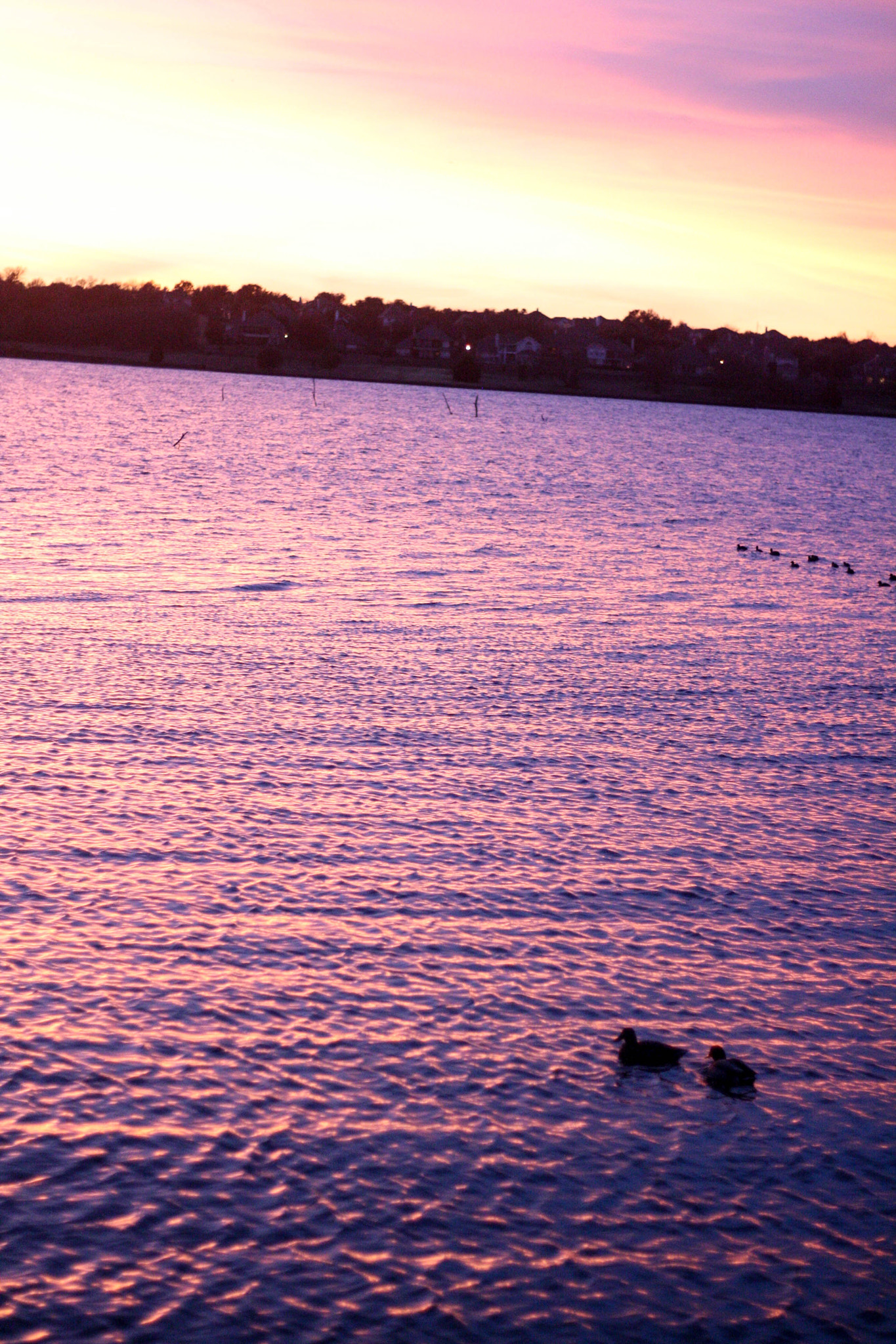 Canon EOS 1000D (EOS Digital Rebel XS / EOS Kiss F) sample photo. Rowlett sunset (pt ) photography