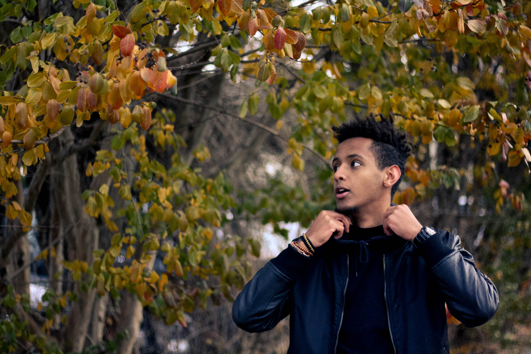 Canon EOS 1000D (EOS Digital Rebel XS / EOS Kiss F) sample photo. Trees munir photography