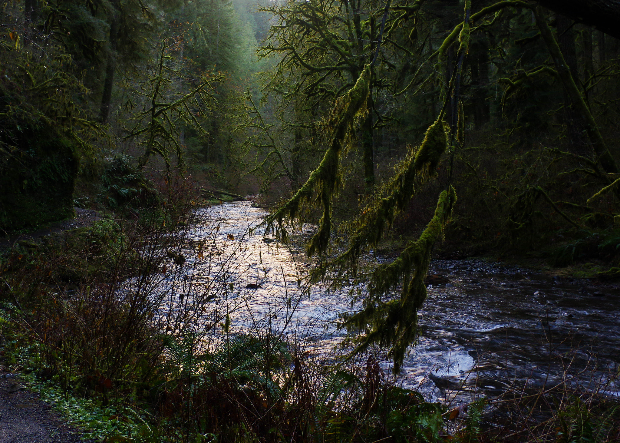 Pentax smc DA 21mm F3.2 AL Limited sample photo. Sunset on silver creek photography