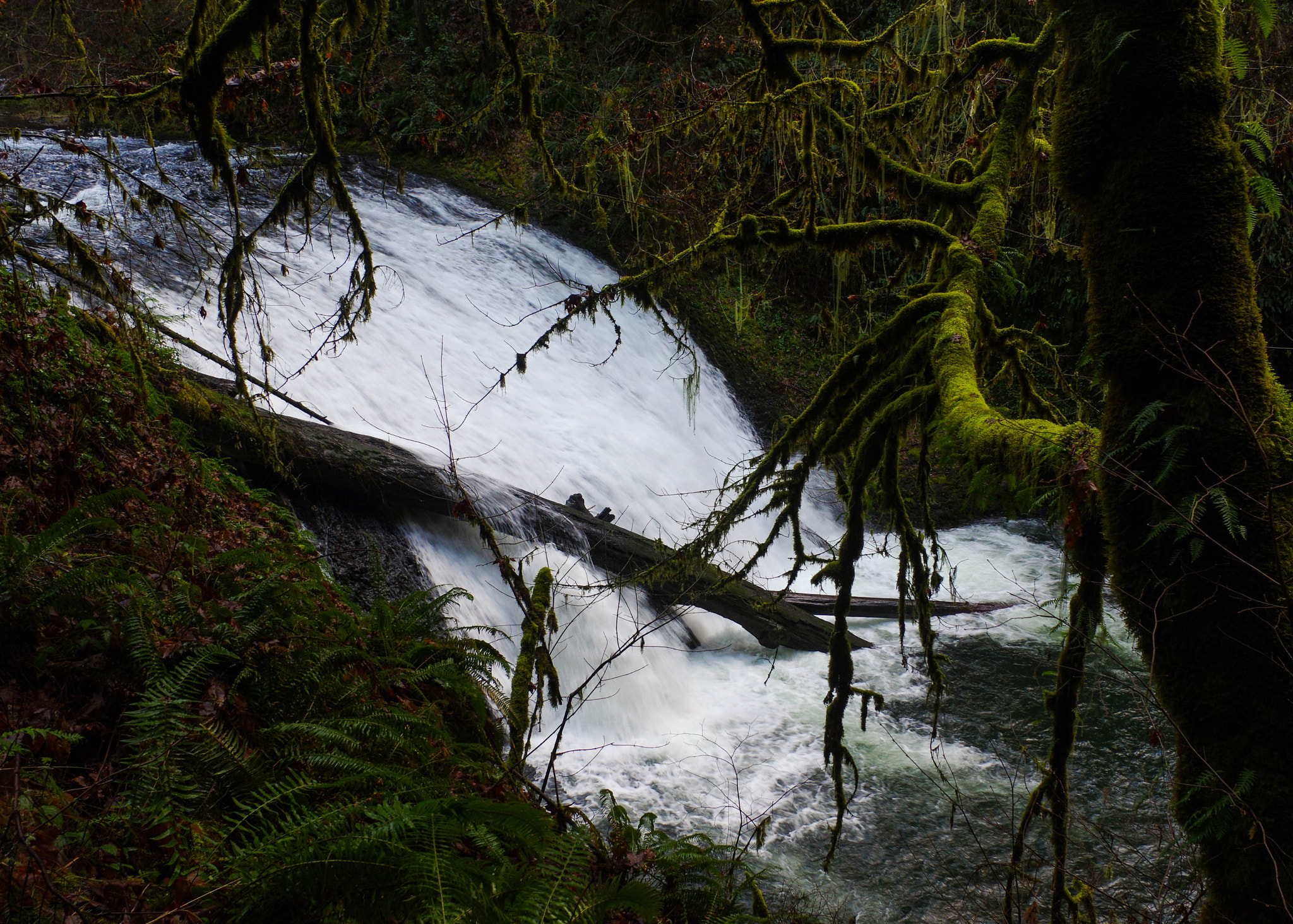 Pentax K-3 sample photo. Lower north falls photography