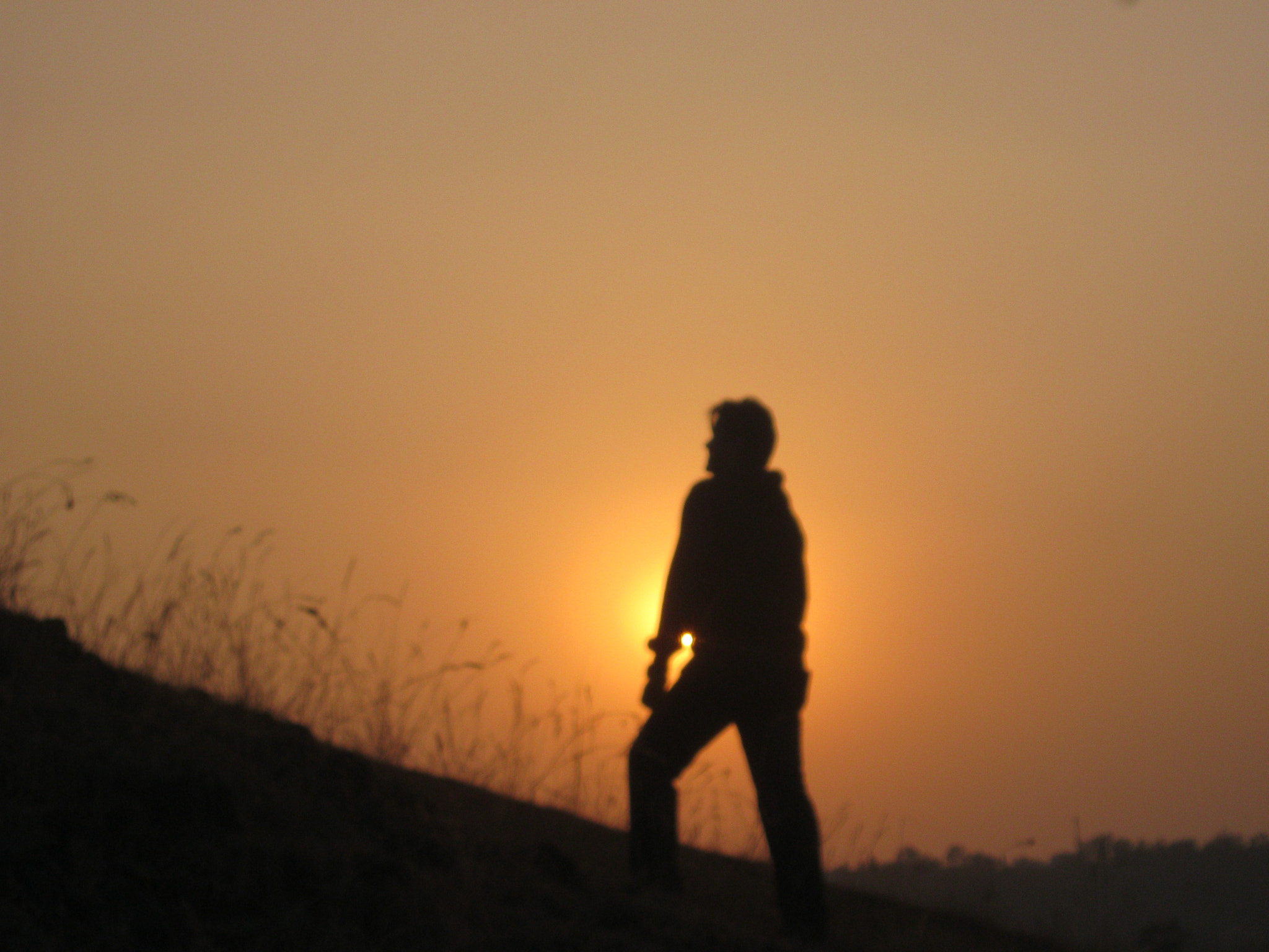 Canon PowerShot A800 sample photo. The stylized sunset frame... photography