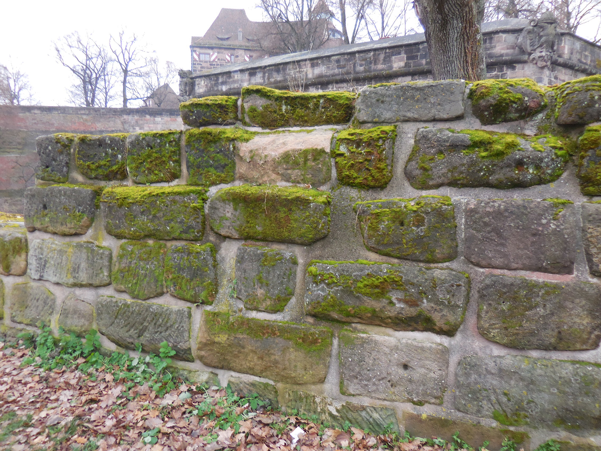 Nikon Coolpix S6800 sample photo. Nuremberg castle photography