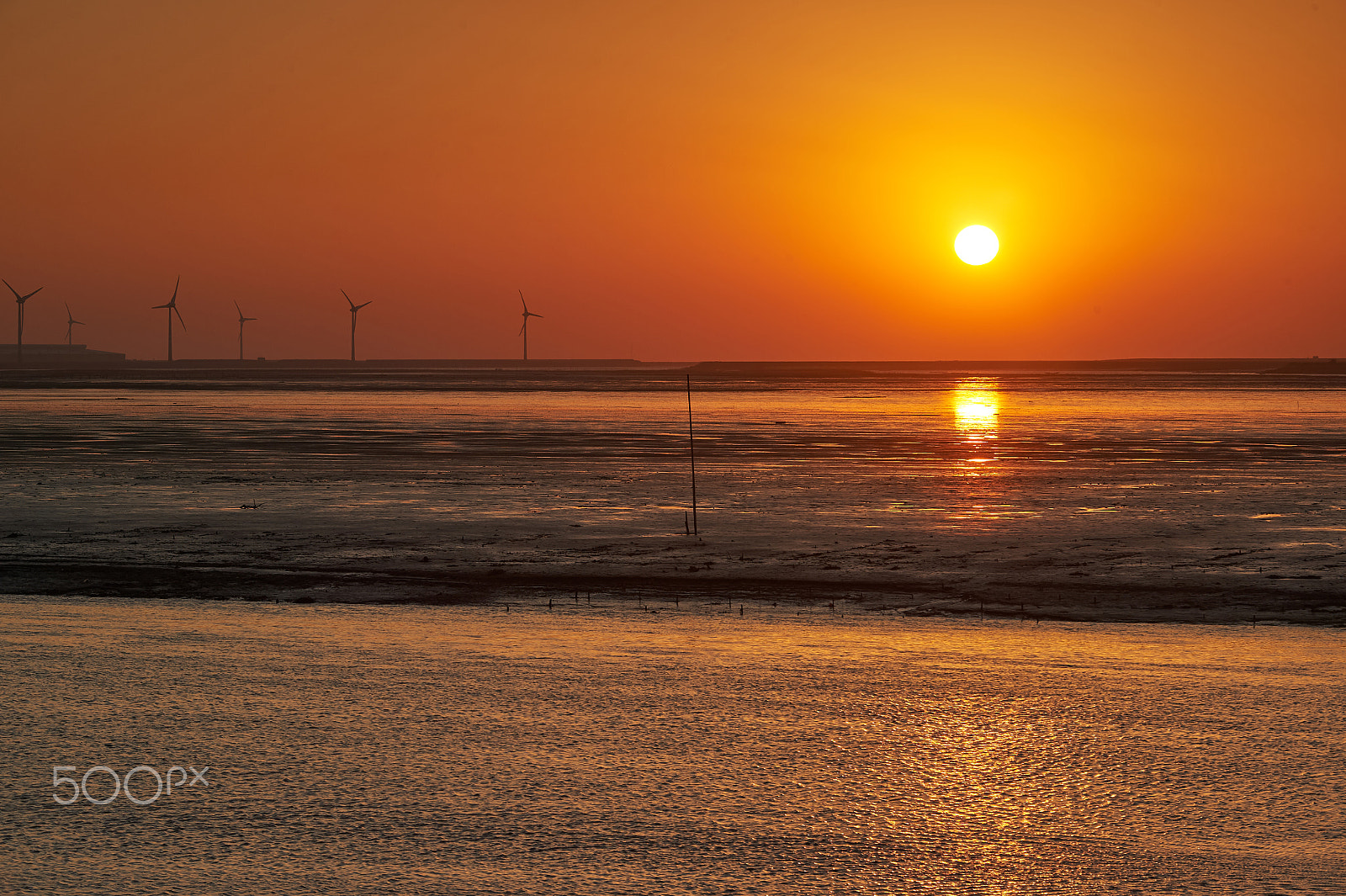 Nikon Df sample photo. The lone sunset photography