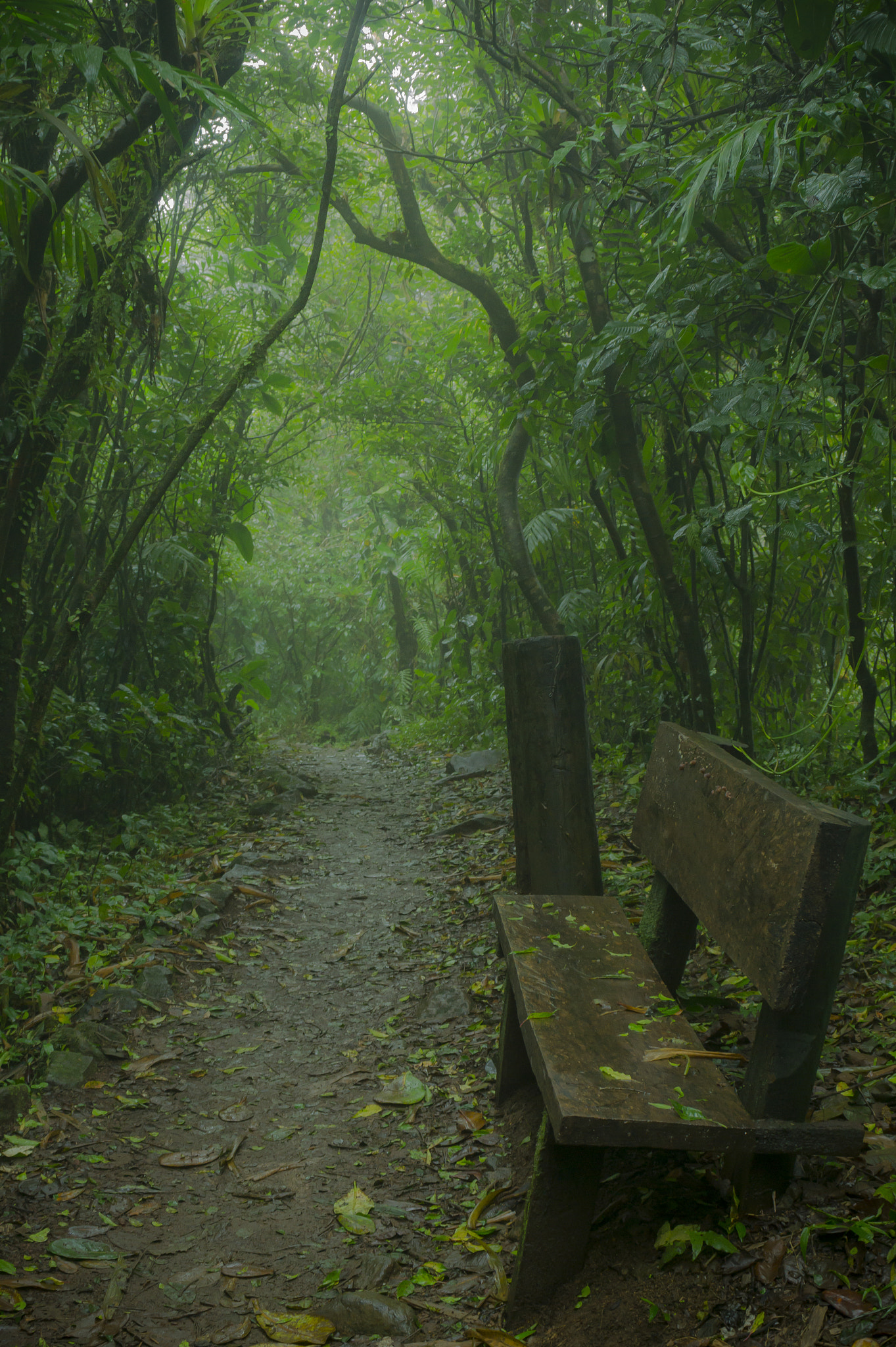 Minolta AF 28-100mm F3.5-5.6 (D) sample photo. Seat in the trail. photography