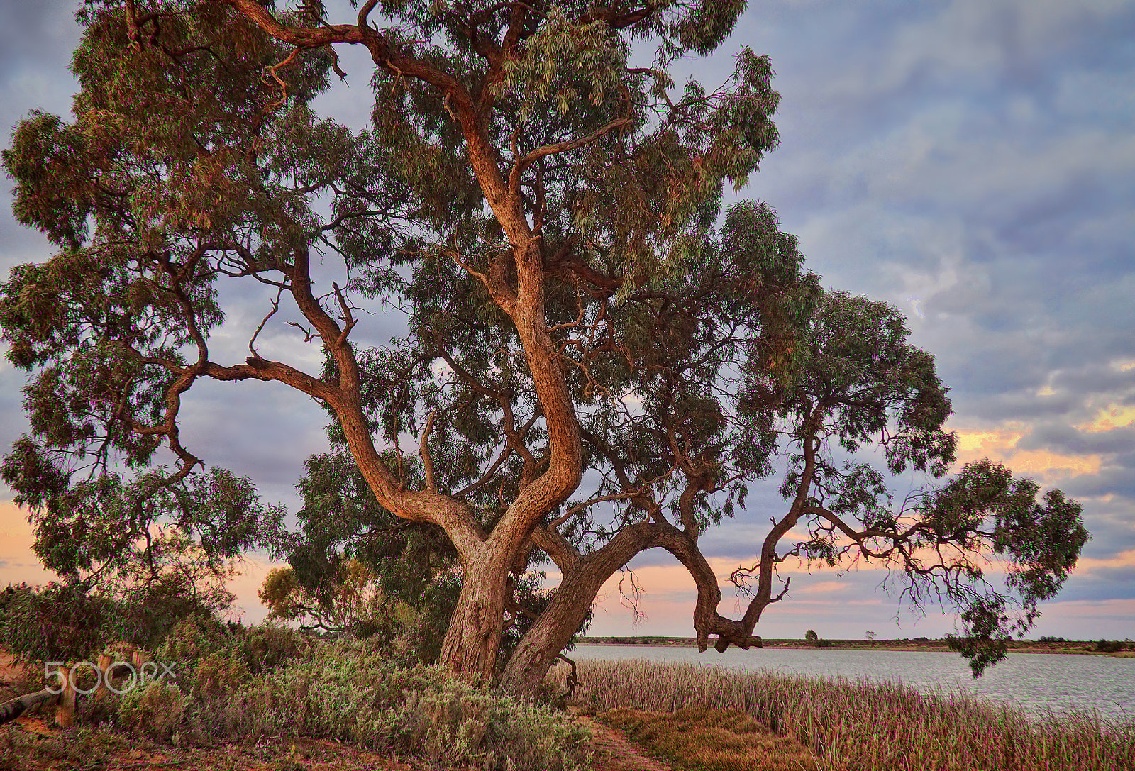 Olympus M.Zuiko Digital 14-42mm F3.5-5.6 II R sample photo. By lake cullulleraine photography