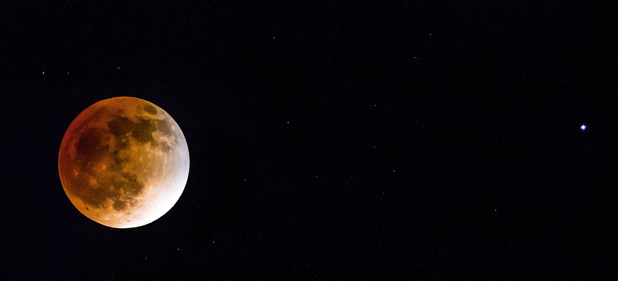 Canon EF 400mm F2.8L IS II USM sample photo. Bujpg o photography