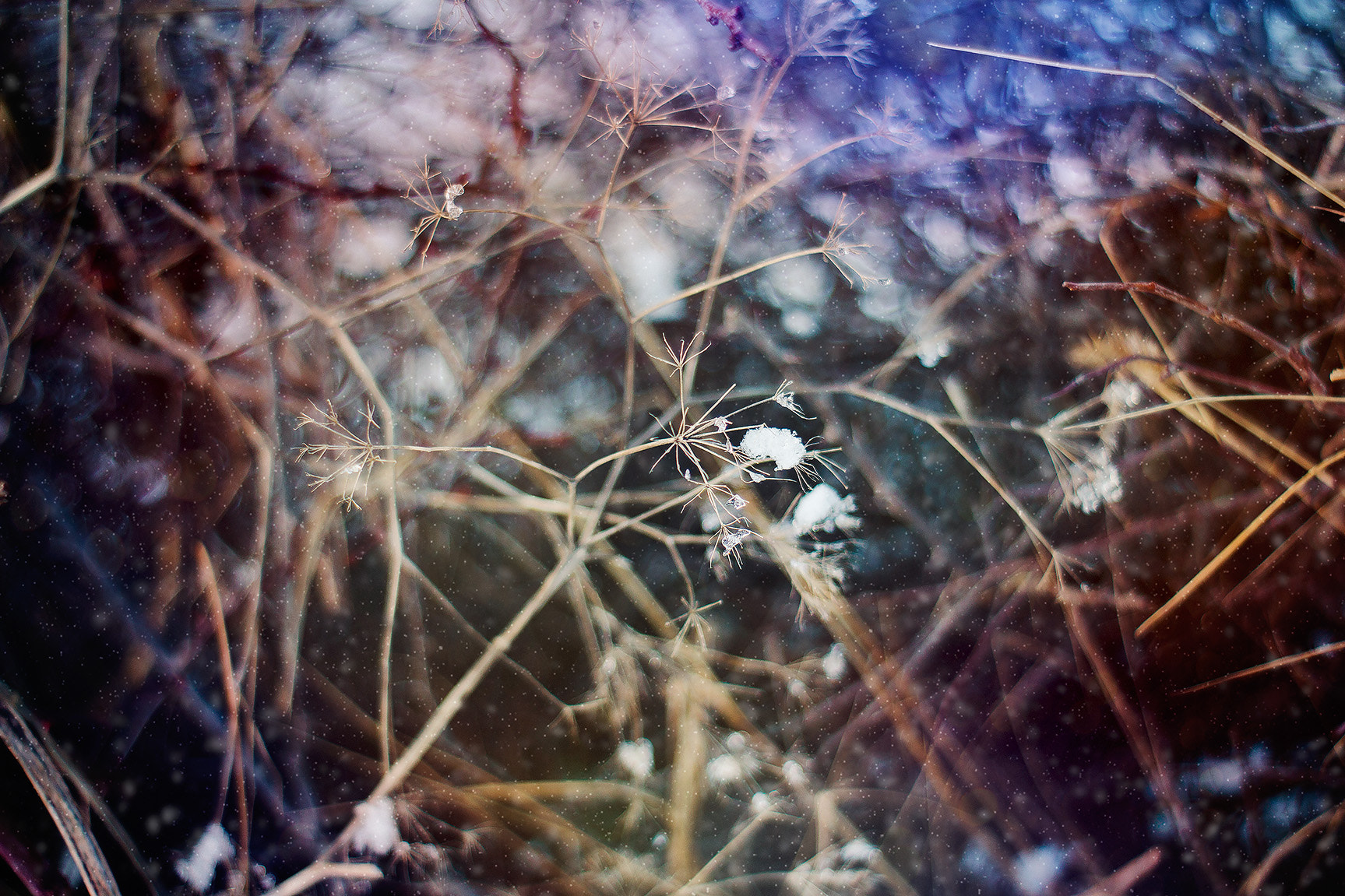 Canon EF 35-80mm f/4-5.6 sample photo. * photography