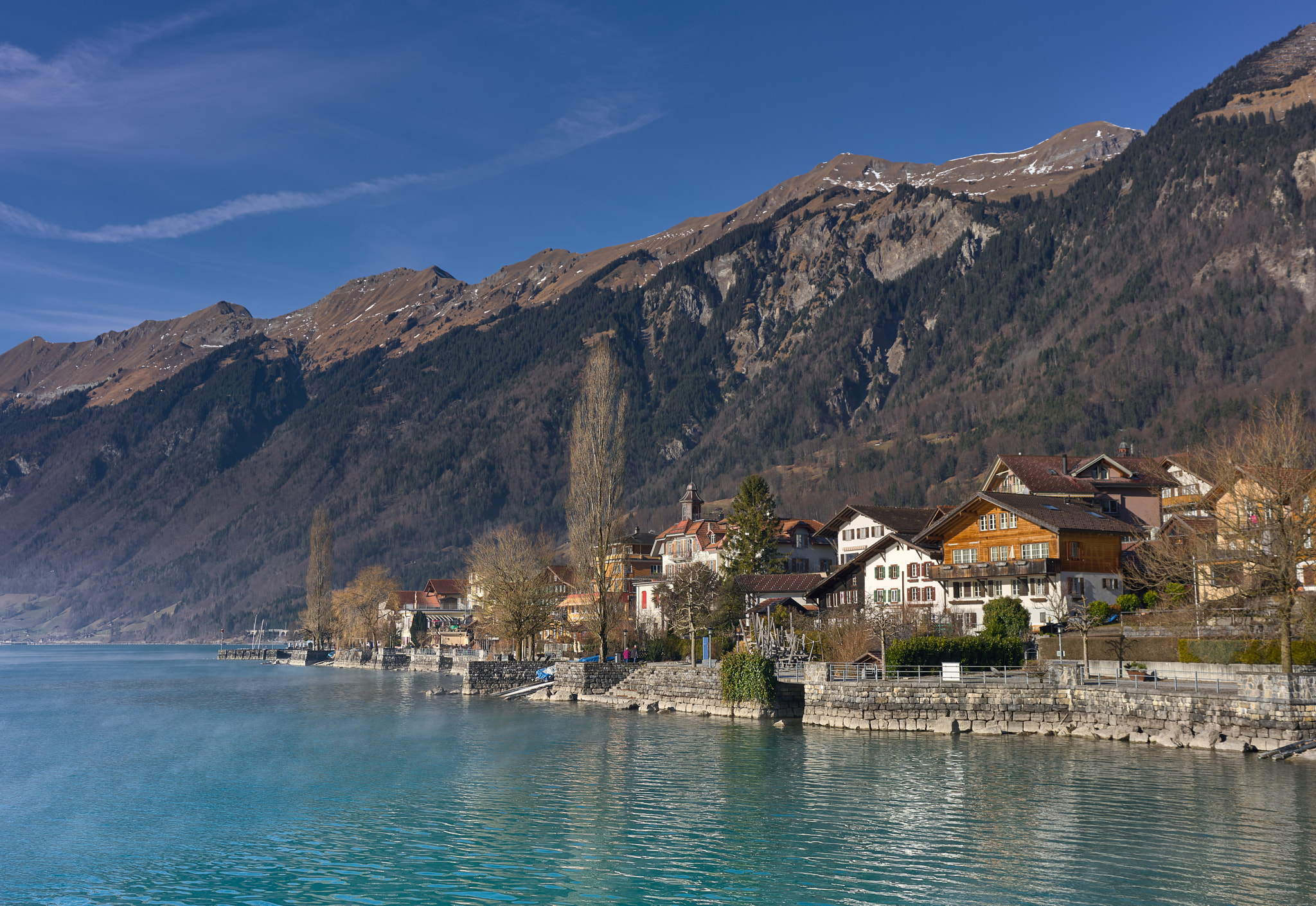 Sony a7R II + Sony Sonnar T* FE 35mm F2.8 ZA sample photo. Brienz by the lake photography