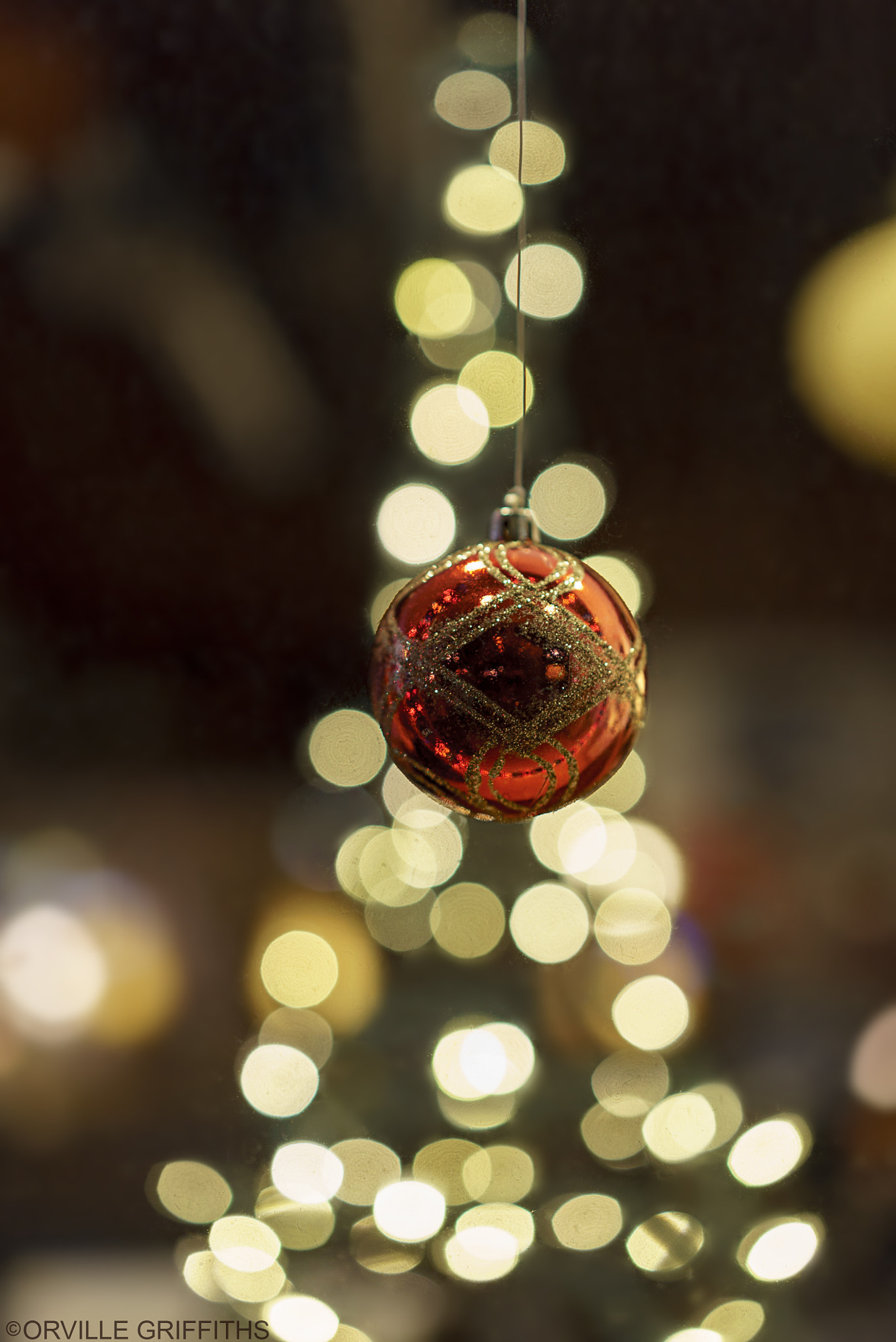 Sony a7S + Sony Sonnar T* FE 55mm F1.8 ZA sample photo. Holiday*bokeh* photography