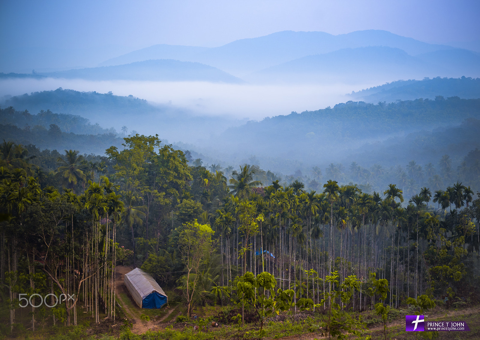 Minolta AF 28-70mm F2.8 G sample photo. Morning mist photography