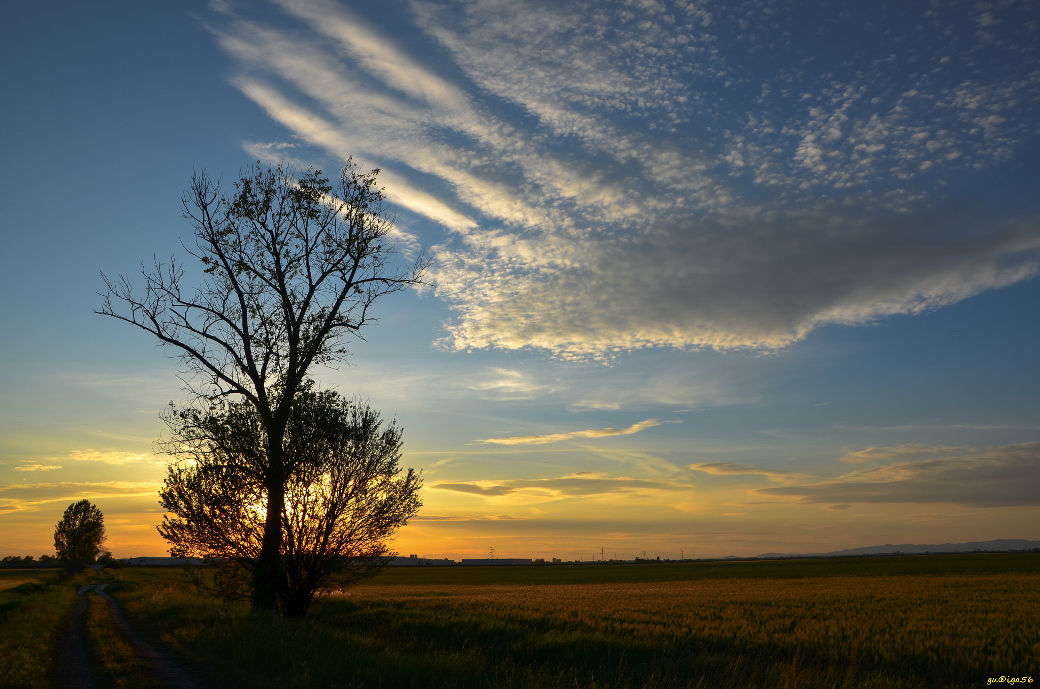 Sigma 18-250mm F3.5-6.3 DC OS HSM sample photo. Sunset photography