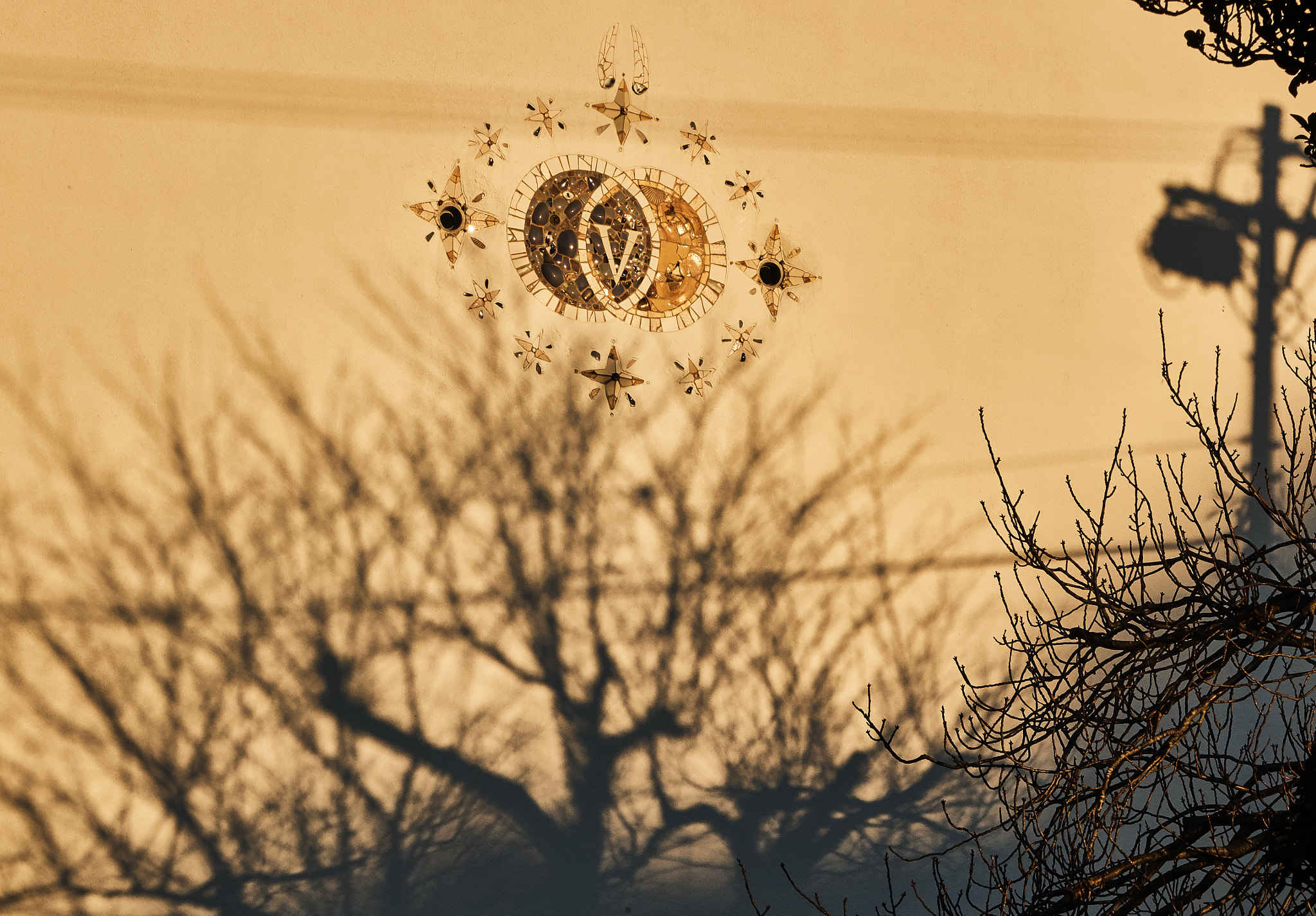 Sony Cyber-shot DSC-RX10 + Sony Cyber-shot DSC-RX10 sample photo. Tree shadows at sunset photography