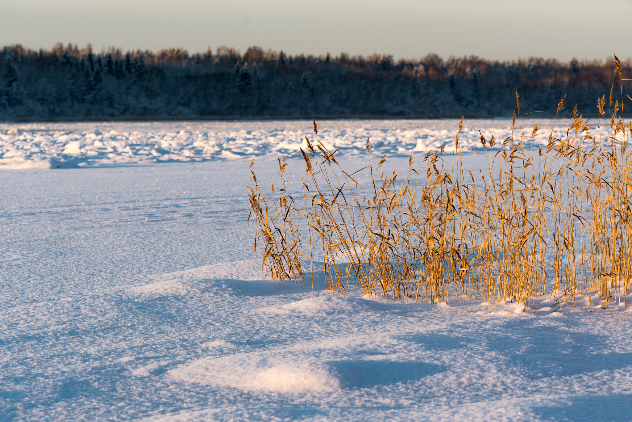 Canon EF 135mm F2L USM sample photo. * photography