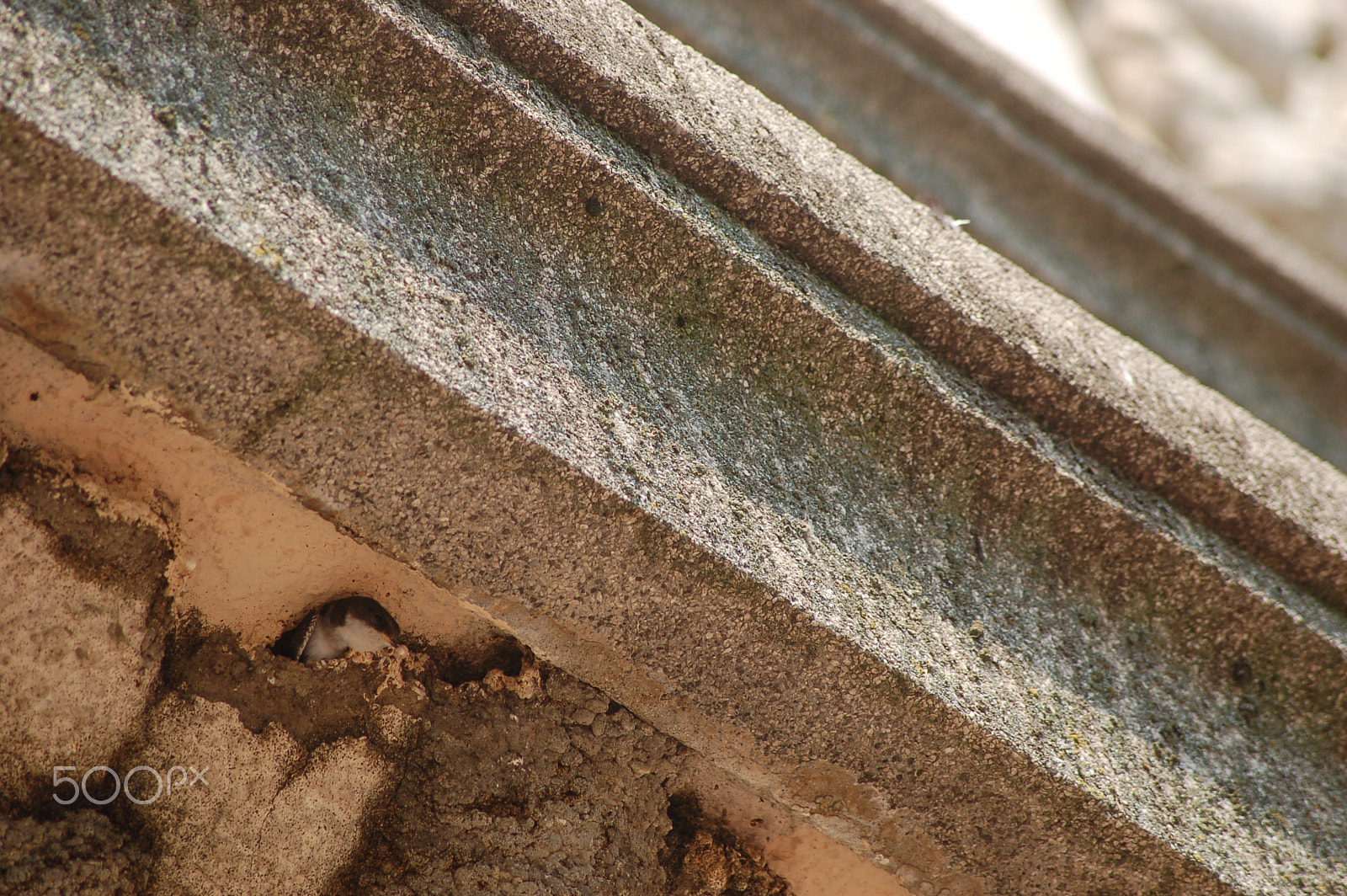 Nikon D50 sample photo. Hidden kingdom photography