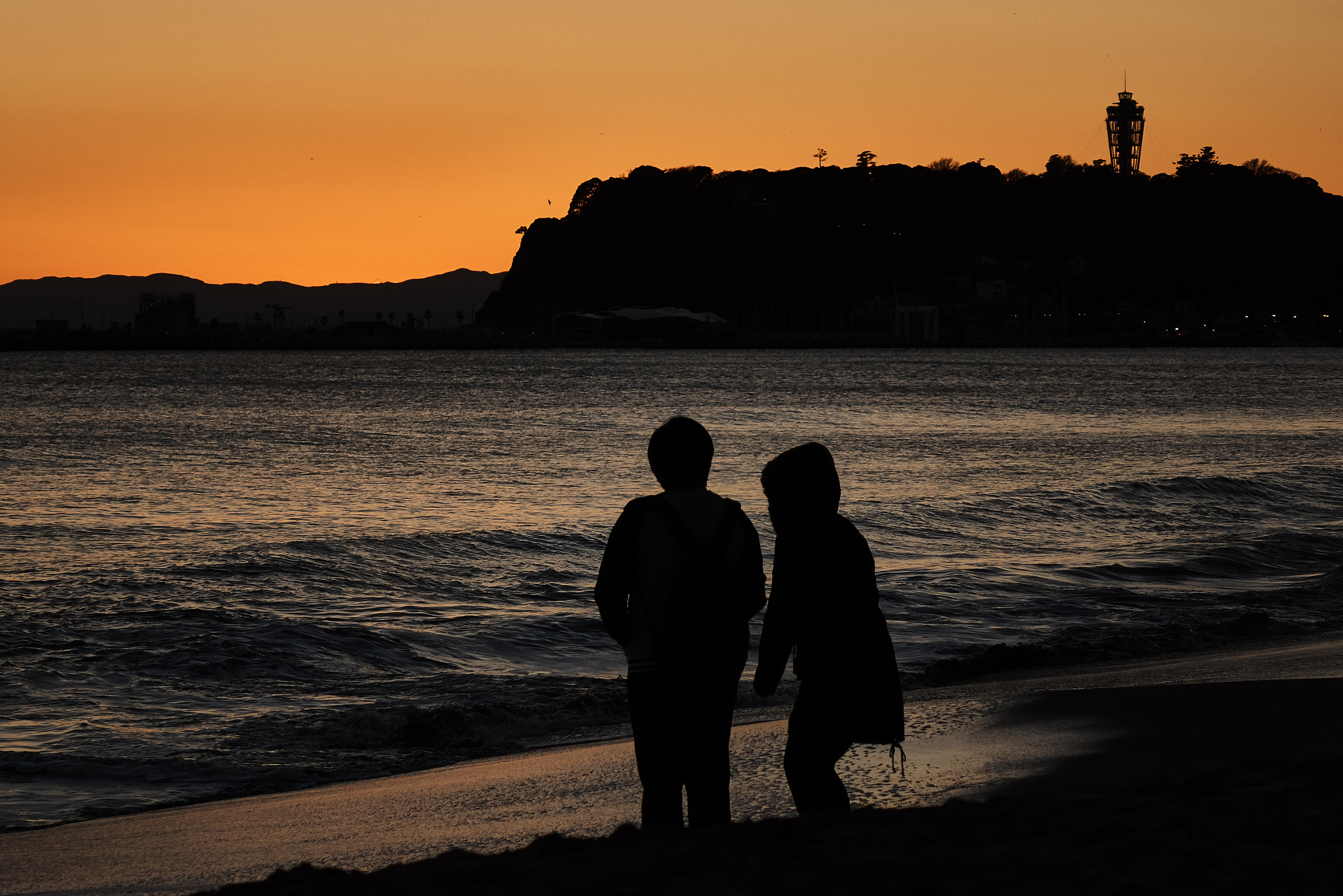 Sony Cyber-shot DSC-RX10 sample photo. A couple at winter sunset photography