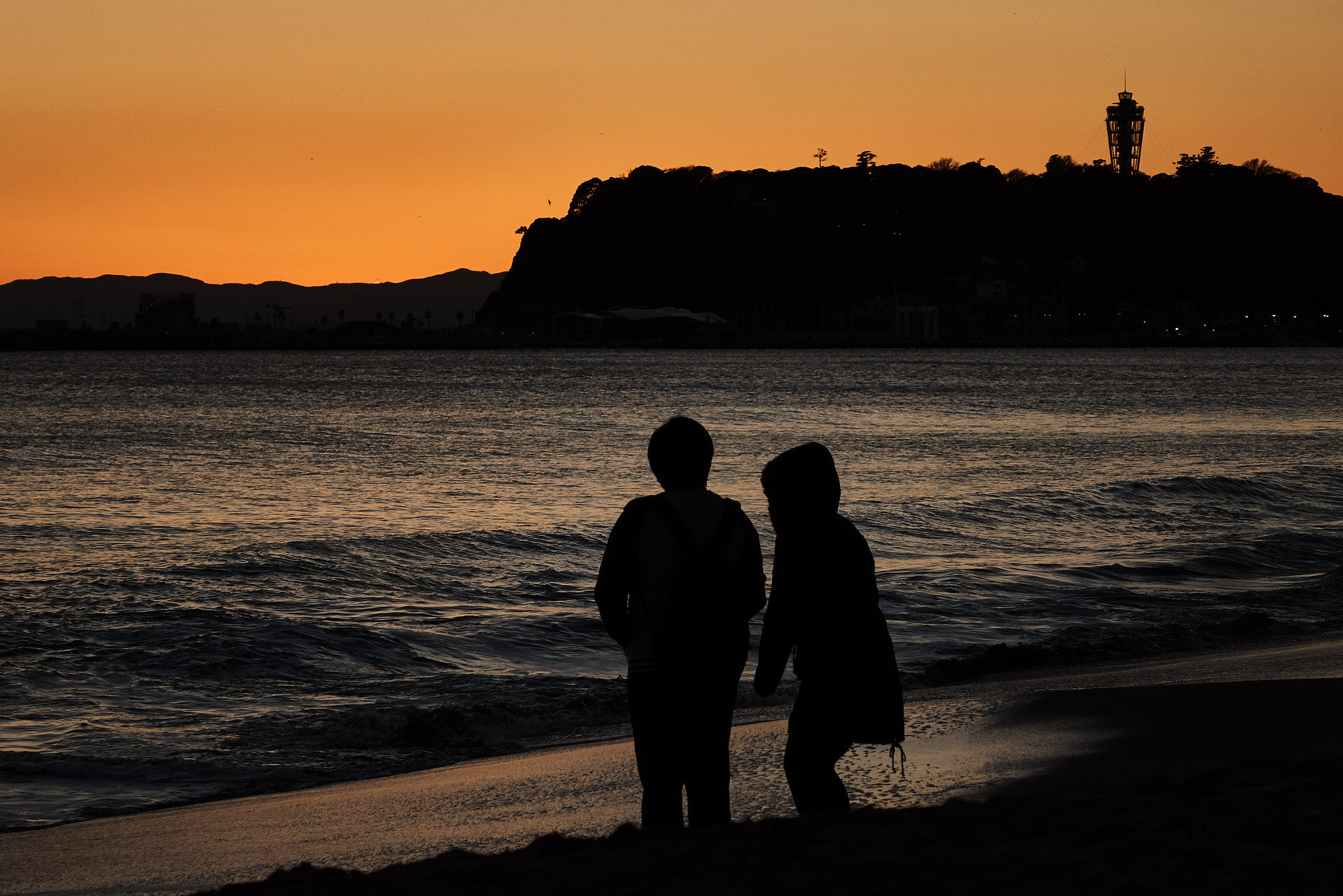 Sony Cyber-shot DSC-RX10 + Sony Cyber-shot DSC-RX10 sample photo. A couple at winter sunset photography