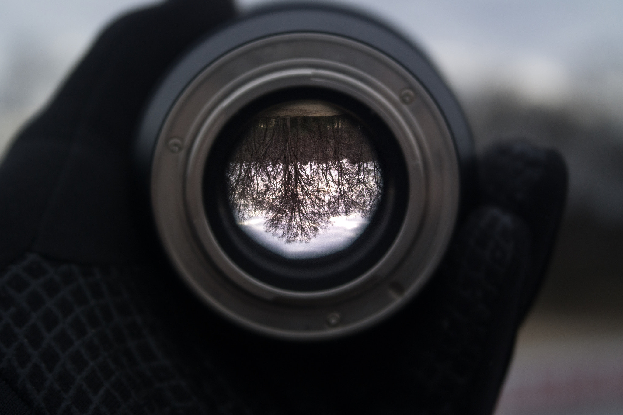 Samsung NX 20-50mm F3.5-5.6 ED sample photo. Through the looking glass photography