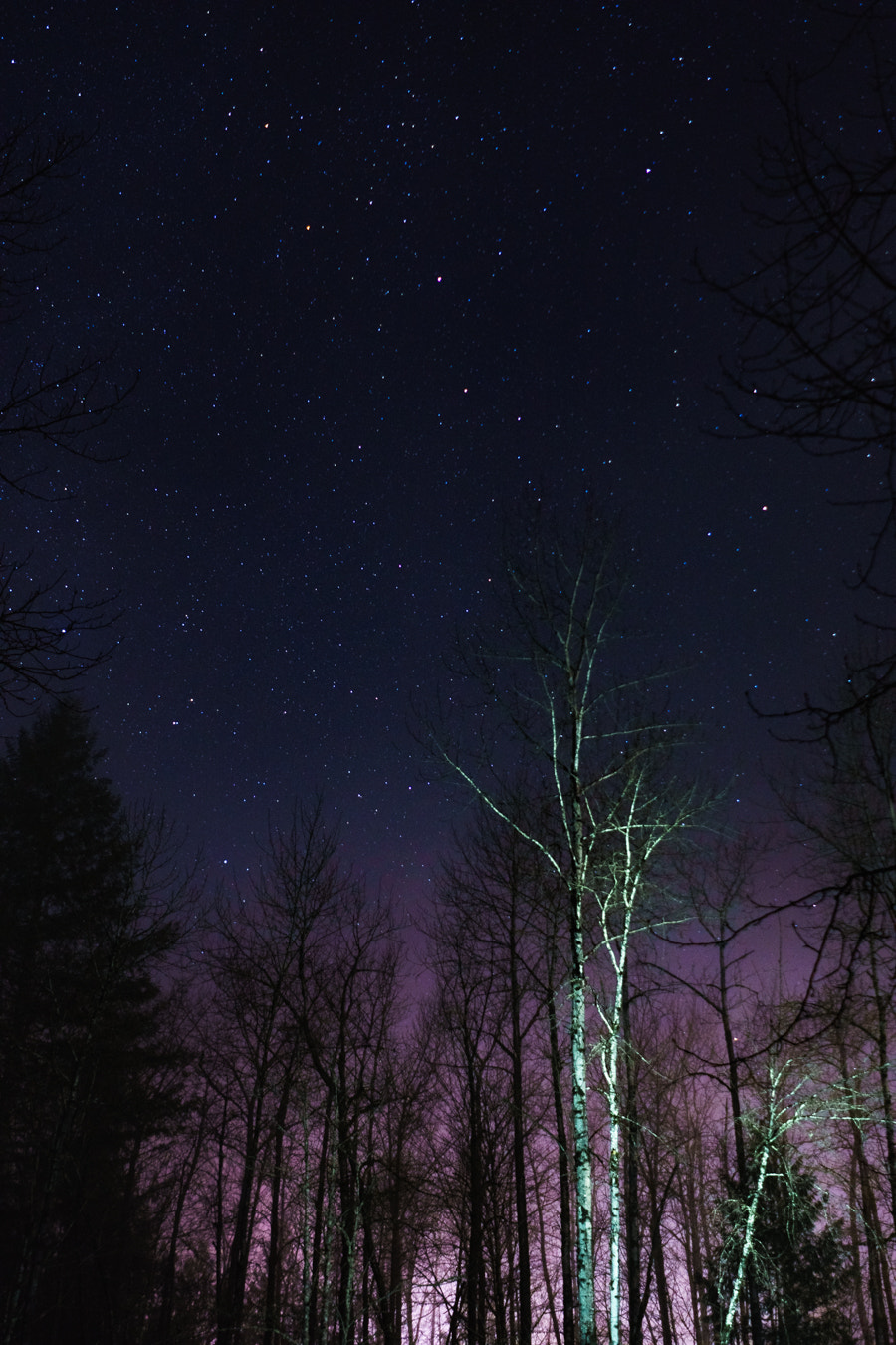 Sony FE 28mm F2 sample photo. Stevens pass, wa photography