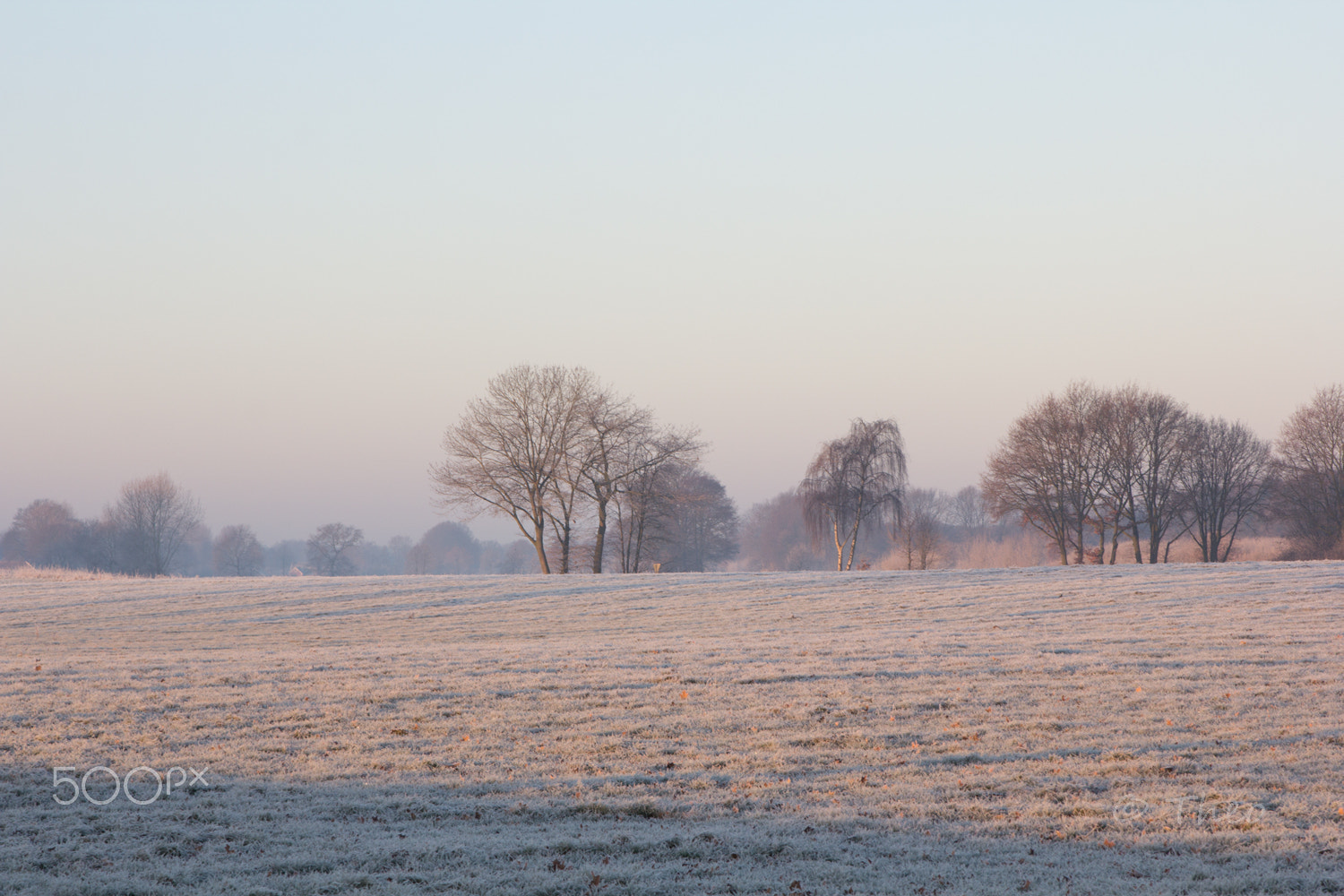 Canon EOS 60D sample photo. De heurne photography