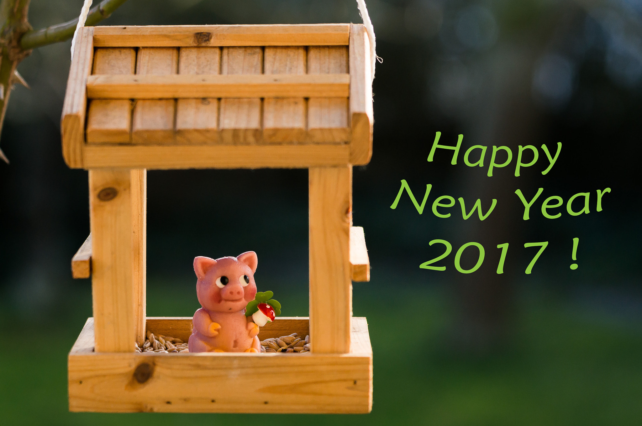 Tamron 18-270mm F3.5-6.3 Di II PZD sample photo. Happy new year 2017 photography